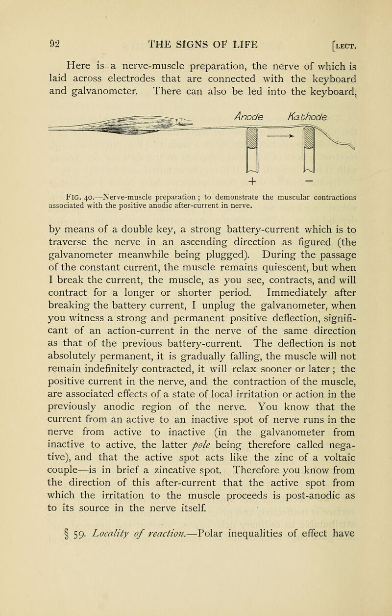 Here is a nerve-muscle preparation, the nerve of which is laid across electrodes that are connected with the keyboard and galvanometer. There can also be led into the keyboard, Anode Kd.thode Fig. 40.—Nerve-muscle preparation ; to demonstrate the muscular contractions associated with the positive anodic after-current in nerve. by means of a double key, a strong battery-current which is to traverse the nerve in an ascending direction as figured (the galvanometer meanwhile being plugged). During the passage of the constant current, the muscle remains quiescent, but when I break the current, the muscle, as you see, contracts, and will contract for a longer or shorter period. Immediately after breaking the battery current, I unplug the galvanometer, when you witness a strong and permanent positive deflection, signifi- cant of an action-current in the nerve of the same direction as that of the previous battery-current. The deflection is not absolutely permanent, it is gradually falling, the muscle will not remain indefinitely contracted, it will relax sooner or later; the positive current in the nerve, and the contraction of the muscle, are associated effects of a state of local irritation or action in the previously anodic region of the nerve. You know that the current from an active to an inactive spot of nerve runs in the nerve from active to inactive (in the galvanometer from inactive to active, the latter pole being therefore called nega- tive), and that the active spot acts like the zinc of a voltaic couple—is in brief a zincative spot. Therefore you know from the direction of this after-current that the active spot from which the irritation to the muscle proceeds is post-anodic as to its source in the nerve itself 59. Locality of reactioji.—Polar inequalities of effect have