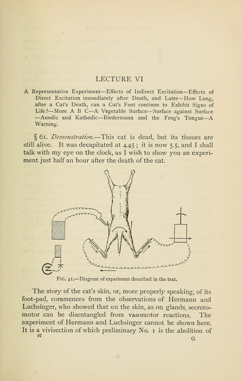 A Representative Experiment—Effects of Indirect Excitation—Effects of Direct Excitation immediately after Death, and Later—How Long, after a Cat's Death, can a Cat's Foot continue to Exhibit Signs of Life ?—More A B C—A Vegetable Surface—Surface against Surface —Anodic and Kathodic—Biedermann and the Frog's Tongue—A Warnino-. § 61. Demonstration.—This cat is dead, but its tissues are still alive. It was decapitated at 4.45 ; it is now 5.5, and I shall talk with my eye on the clock, as I wish to show you an experi- ment just half an hour after the death of the cat. Fig. 41.—Diagram of experiment described in the text. The story of the cat's skin, or, more properly speaking, of its foot-pad, commences from the observations of Hermann and Luchsinger, who showed that on the skin, as on glands, secreto- motor can be disentangled from vasomotor reactions. The experiment of Hermann and Luchsinger cannot be shown here. It is a vivisection of which preliminary No. i is the abolition of G