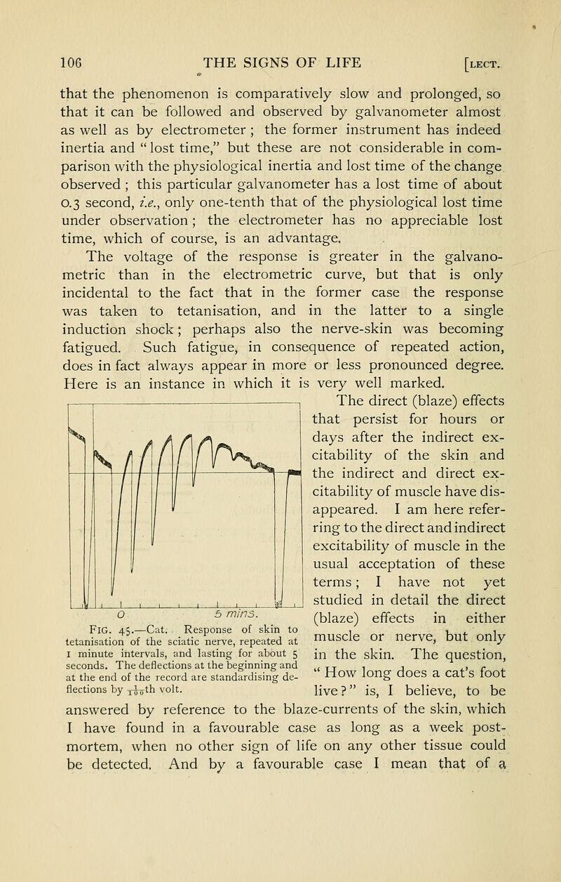 that the phenomenon is comparatively slow and prolonged, so that it can be followed and observed by galvanometer almost as well as by electrometer ; the former instrument has indeed inertia and  lost time, but these are not considerable in com- parison with the physiological inertia and lost time of the change observed ; this particular galvanometer has a lost time of about 0.3 second, z>., only one-tenth that of the physiological lost time under observation; the electrometer has no appreciable lost time, which of course, is an advantage. The voltage of the response is greater in the galvano- metric than in the electrometric curve, but that is only incidental to the fact that in the former case the response was taken to tetanisation, and in the latter to a single induction shock; perhaps also the nerve-skin was becoming fatigued. Such fatigue, in consequence of repeated action, does in fact always appear in more or less pronounced degree. Here is an instance in which it is very well marked. The direct (blaze) effects that persist for hours or days after the indirect ex- citability of the skin and the indirect and direct ex- citability of muscle have dis- appeared. I am here refer- ring to the direct and indirect excitability of muscle in the usual acceptation of these terms; I have not yet studied in detail the direct (blaze) effects in either muscle or nerve, but only in the skin. The question,  How long does a cat's foot live ? is, I believe, to be answered by reference to the blaze-currents of the skin, which I have found in a favourable case as long as a week post- mortem, when no other sign of life on any other tissue could be detected. And by a favourable case I mean that of a o 5 mins. Fig. 45.—Cat. Response of skin to tetanisation of the sciatic nerve, repeated at I minute intervals, and lasting for about 5 seconds. The deflections at the beginning and at the end of the record are standardising de- flections by xoirth volt.