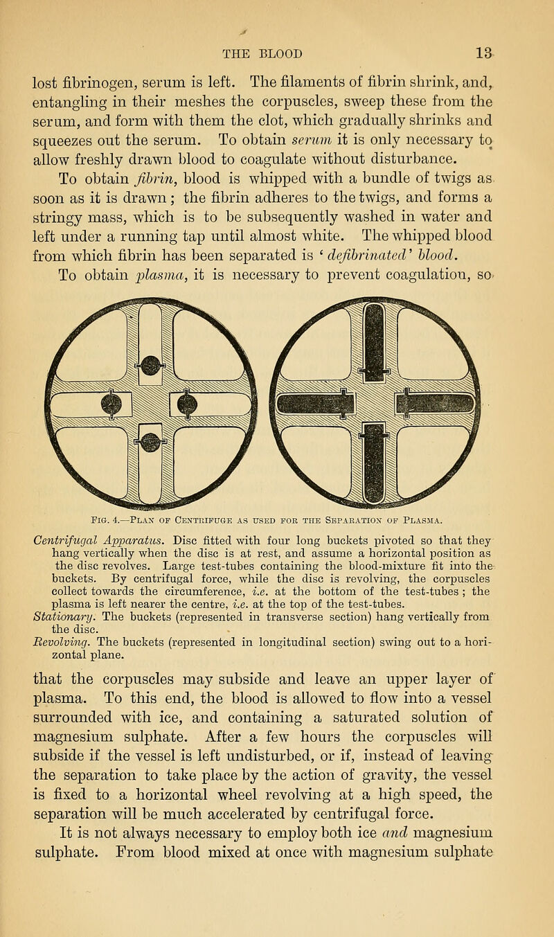 lost fibrinogen, serum is left. The filaments of fibrin shrink, and, entangling in their meshes the corpuscles, sweep these from the serum, and form with them the clot, which gradually shrinks and squeezes out the serum. To obtain serum it is only necessary to allow freshly drawn blood to coagulate without disturbance. To obtain fibrin, blood is whipped with a bundle of twigs as soon as it is drawn; the fibrin adheres to the twigs, and forms a stringy mass, which is to be subsequently washed in water and left under a running tap until almost white. The whipped blood from which fibrin has been separated is ' defibrinated' blood. To obtain plasma, it is necessary to prevent coagulation, sO' Pig. 4.—Plax of Cextuifuge as used for the Sbpaeatiox of Plasma. Centrifugal Apparatus. Disc fitted with four long buckets pivoted so that they hang vertically when the disc is at rest, and assume a horizontal position as the disc revolves. Large test-tubes containing the blood-mixture fit into the buckets. By centrifugal force, while the disc is revolving, the corpuscles collect towards the circumference, i.e. at the bottom of the test-tubes ; the plasma is left nearer the centre, i.e. at the top of the test-tubes. Stationary. The buckets (represented in transverse section) hang vertically from the disc. Revolving. The buckets (represented in longitudinal section) swing out to a hori- zontal plane. that the corpuscles may subside and leave an upper layer of plasma. To this end, the blood is allowed to flow into a vessel surrounded with ice, and containing a saturated solution of magnesium sulphate. After a few hours the corpuscles will subside if the vessel is left undisturbed, or if, instead of leaving the separation to take place by the action of gravity, the vessel is fixed to a horizontal wheel revolving at a high speed, the separation will be much accelerated by centrifugal force. It is not always necessary to employ both ice and magnesium sulphate. From blood mixed at once with magnesium sulphate