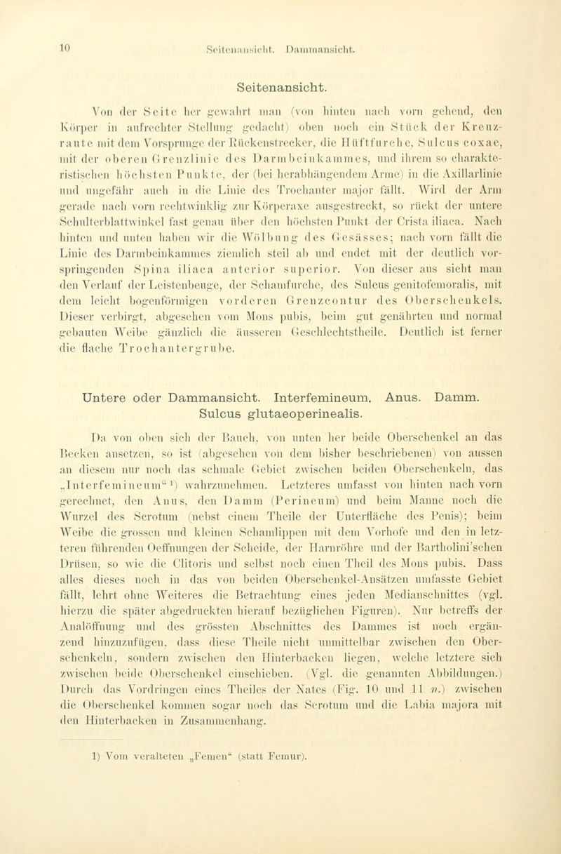 Seitenansicht. Von der Seite her f;c\v;ilii1 iiuiii (von Iiintcn nacli vorn gciu^nd, den Krirper in autVeehter .Stellung- gedacht) oben noch ein Stiicl^ der Kreiiz- rante mit dem V^orsprung'C der Rückenstreclier, die Hüft für che, Sulcns coxae, mit der oberen Grenzlinie des Darinbeinkanimcs, und ihrem so charaktc- ristisclu'ii höclisten Punkte, der (bei lierabliiingendem Armo in die Axillarlinie und ungefähr auch in die Linie des Trochanter major fällt. Wird der Arm gerade nach vorn rechtwinklig zur Körperaxe ausgestreckt, so rückt der untere Schulterblattwinkel fast genau über den höclisten Punkt der Crista iliaca. Nach hinten und unten haben wir die Wölbung des Gcsässes; nach vorn fällt die Linie des Darmbeinkammes ziendieh steil ah und endet mit der deutlich vor- springenden Spina iliaea anterior superior. Von dieser aus sieht man den Verlauf der Leistenbeuge, der Schanifurche, des Sulcus genitofcmoralis, mit dem leicht bogenförmigen vorderen Grcnzcontur des Oberschenkels. Dieser verbirgt, abgesehen vom Mons pubis, beim gut genährten und normal gebauten AVeibe gänzlich die äusseren Geschlechtstheile. Deutlich ist ferner die flache Trochautergrube. Untere oder Dammansicht. Interfemineum. Anus. Damm. Sulcus glutaeoperinealis. Da von oben sich der IJauch, von unten her beide Oberschenkel an das Ikcken ansetzen, so ist (abgesehen von dem bisher beschriebenen) von aussen an diesem nur noch das schmale Gebiet zwisclien beiden Oberschenkeln, das „Interfemineum') wahrzunehmen. Letzteres unifasst von hinten nach vorn gerechnet, den Anus, den Damm (Perineum) und beim Manne noch die Wurzel des Scrotum (nebst einem Theile der Unterfläche des Penis); beim Weibe die grossen und kleinen Schamlippen mit dem Vorhofe und den in letz- teren führenden Oeft'nungen der Scheide, der Harnröln-e und der Bartholini'schen Drüsen, so wie die Clitoris und selbst noch einen Theil des Mons pubis. Dass alles dieses noch in das von beiden Oberschenkel-Ansätzen umfasste Gebiet fällt, lehrt ohne Weiteres die Betrachtung eines jeden Medianschnittes (vgl. hierzu die später abgedruckten hierauf beziigliehen Figuren). Nur betreifs der AnalöiTnung und des grössten Abschnittes des Dammes ist noch ergän- zend hinzuzufügen, dass diese Theile nicht unmittelbar zwischen den Ober- sehenkeln, sondern zwischen den Hinterbacken liegen, welche letztere sich zwischen beide Oberschenkel einschieben. (Vgl. die genannten Abbildungen.) Durch das Vordringen eines Theilcs der Nates (Fig. 10 und 11 n.) zwischen die (Oberschenkel kommen sogar noch das Scrotum und die Labia niajora mit den Hinterbacken in Zusammenhang. 1) Vom veralteteu „Femen (statt Femur).