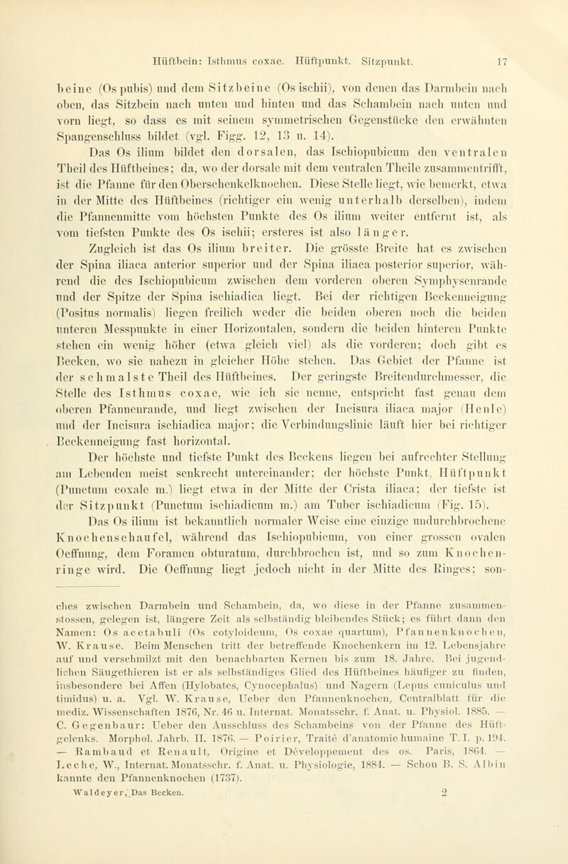 bciue (Os piibis) und dem Sitzbeine (Os ischii), von denen das Dannbciii nacb oben, das Sitzbein nach unten und liinten und das Scliambein nach unten und vorn liegt, so dass es mit seinem symmetrischen Gegenstücke den erwähnten Spangenschlnss bildet (vgl. Figg. 12, 13 n. 14). Das Os ilium bildet den dorsalen, das Ischiopubicum den ventralen Theil des Hüftbeines; da, wo der dorsale mit dem ventralen Theile zusammentrifft, ist die Pfimne fürdcn Obersehenkelknocben. Diese Stelle liegt, wie bemerkt, etwa in der Mitte des Hüftbeines (rielitiger ein wenig unterhalb derselben), indem die Pfannenmitte vom höchsten Punkte des Os ilium weiter entfernt ist, als vom tiefsten Pimkte des Os ischii; ersteres ist also länger. Zugleich ist das Os ilium breiter. Die grösste Breite hat es zwischen der Spina iliaca anterior superior und der Spina iliaca posterior sujjcrior, wäh- rend die des Ischiopubicum zwischen dem vorderen oberen Symphysenrande und der Spitze der Spina isehiadica liegt. Bei der richtigen Beckenneigung (Positus nornialis) liegen freilich weder die beiden oberen noch die beiden unteren Messpunkte in einer Horizontalen, sondern die beiden hinteren Punkte stehen ein wenig höher (etwa gleich viel) als die vorderen; doch gibt es Becken, wo sie nahezu in gleicher Höhe stehen. Das Gebiet der Pfanne ist der sc hm alst e Theil des llüftlieines. Der geringste Breitendurchmesser, die Stelle des Isthmus coxae, wie ich sie nenne, entspricht fast genau dem oberen Pfannenrande, und liegt zwischen der Incisura iliaca major (TTcnle) und der Incisura isehiadica major; die Verbindungslinie läuft hier bei richtiger Bcekenneigung fast horizontal. Der höchste und tiefste Punkt des Beckens liegen bei aufrechter Stellung am Lebenden meist senkrecht untereinander; der höchste Punkt, Ilüftpunkt (Punctum coxale m.) liegt etwa in der ]\Iitte der Crista iliaca; der tiefste ist der Sitzpunkt (Punctum isehiadicum m.) am Tuber ischiadicum TFig. Ift). Das Os ilium ist bekanntlich normaler Weise eine einzige undurchbrocliene Knochenschaufel, M'ährend das Isehiopubicum, von einer grossen ovalen Oeffnung, dem Foramen obturatum, durchbrochen ist, und so zum Kudchen- ringe wird. Die Oeflfmmg liegt jedoch nicht in der Mitte des Ringes; son- clies zwischen Darmbein und Scliambein, da, wo diese in der Pfanne znsaninicn- stossen, gelegen ist, längere Zeit als selbständig- bleibendes Stück; es führt d;uiii den Namen: Os acetabuli (Os cotvloideum, Os coxae quartumi, Pfan neu knoe li c n, W. Krause. Beim Menschen tritt der betreffende Knochenkern im 12. Lebensjiilire, auf mid verschmilzt mit den bcnachb.-irten Kernen bis zum 18. Jahre. Bei juu'eiid- lichen Säugethieren ist er als selbständiges Glied des Hüftbeines häufiger zu finden, insbesondere bei Affen (Hylobates, Cynocephalus) und Nagern (Lepiis cuniculus und thnidus) u. a. Vgl. W. Krause, lieber den Pfannenknochen, Centralblatt für die niediz. Wissenschaften 1876, Nr. 46 u. Internat. Monatsschr. f. Anat. u. Physiol. 1885. — C. Gegenbaur: Ueber den Ausschluss des Schambeins von der Pfanne des Hüft- gelenks. Morphol. Jahrb. II. 1876.— Poirier, Traite d'anatomie humaine T. I. p. liM. — Rambaud et Renault, Origine et Developpement des os. Paris, 1864. — Leche, W., Internat. Monatsschr. f. Anat. u. Physiologie, 1884. — Schon B. S. Albin kannte den Pfannenknochen (1737). Waldeyer, Das Becken. 2