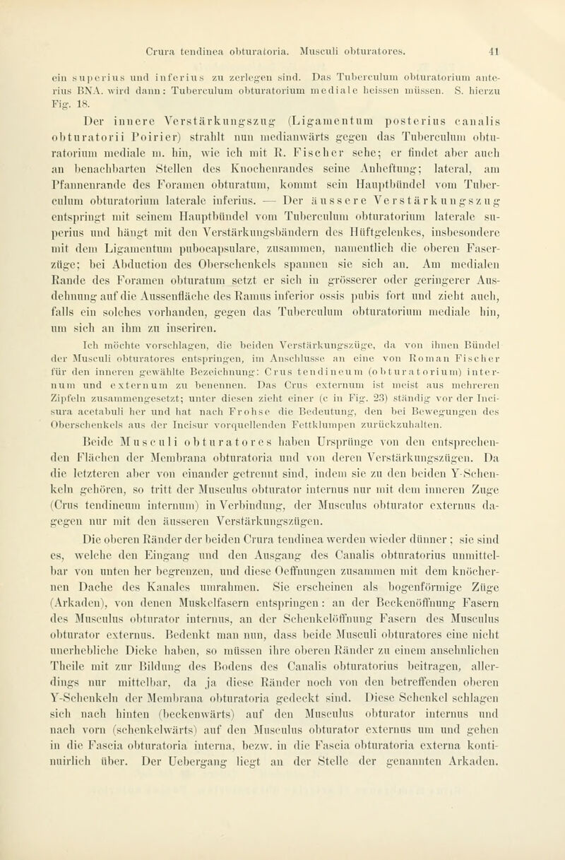 ein supeiiiis und inferius zu zerlegen sind. Das Tuberculum obtui'atorium ante- rius BNA, wird dann: Tuberculum obturatorium mediale heissen müssen. S. bierzii Fig-. 18. Der innere Verstärkungszug (Ligamentum posterius canalis ol)turatorii l'oirier) stralilt nun niedianwärts gegen das Tulierenliun uhtu- ratorinni mediale m. liin, wie ich mit R. Fischer sehe; er tindet aher aueii an henachbarten Stellen des Knochenrandes seine Anheftung; lateral, am Pfannenrande des Foramen ohturatum, kommt sein Hauptbündel vom Tuher- cnlum obturatorium laterale infei-ius. — Der äussere V e r s t ä r k u n g s z u g entspringt mit seinem Hauptbündel vom Tuberculum obturatorium laterale su- perius und hängt mit den Verstärkungsbändern des Hüftgelenkes, insbesondere mit dem Ligamentum pubocapsulare, zusammen, namentlich die oberen Faser- züge; bei Abduetiou des Olierschcnkels spannen sie sieh an. Am medialen Rande des Foramen obturatum setzt er sich in grösserer oder geringerer Aus- dehnung auf die Aussentläehe des Raums inferior ossis pnbis fort und zieht auch, falls ein solches vorhanden, gegen das Tuberculum obturatorium mediale hin, um sich an ihm zu inseriren. Ich möchte vorschlagen, die beiden VerstärUung'szüge, da von ihnen Bündel der Musculi obturatores entspringen, im Anschlüsse an eine von IJoman Fischer für den inneren gewählte Bezeichnung: Crus tendinoum (obturatorium) inter- nuni und externum zu benennen. Das Crus externum ist meist aus mehreren Zipfeln zusammengesetzt; unter diesen zielit einer (c in Fig'. 23) ständig' vor der Inci- siira acetabuli her und hat nach Frohse die Bedeutung, den bei Bewegungen des Oberschenkels aus der Incisur vorquellenden Fettklumpen zurückzuhalten. Beide Musculi obturatores haben Ursprünge von den entsprechen- den Flächen der Membrana obturatoria und von deren Verstärkungszügen. Da die letzteren aber von einander getrennt sind, indem sie zu den ])eiden Y-Schen- kcin gehören, so tritt der Musculus obturator internus nur mit dem inneren Zuge (Crus tendineum internnni) in Verbindung, der Musculus obturator externus da- gegen nur mit den äusseren Verstärkungszügen. Die oberen Ränder der beiden Crura tendinea werden wieder dünner ; sie sind es, welche den Eingang und den Ausgang des Canalis obturatorius unmittel- bar von unten her begrenzen, und diese Oeffnungen zusammen mit dem knöcher- nen Dache des Kanales unu-ahmen. Sie erscheinen als bogenförmige Züge (Arkaden), von denen Muskelfasern entspringen: an der Beckenöftnung Fasern des Musculus obturator internus, an der Schenkelöffnung Fasern des Musculus obturator externus. Bedenkt man nun, dass beide Musculi obturatores eine nicht unerhebliche Dicke haben, so müssen ihre oberen Ränder zu einem ansehnlichen Tlieile mit zur l.ildung des Bodens des Canalis obturatorius beitragen, aller- dings nur mittelbar, da ja diese Ränder noch von den betreifenden oberen Y-Schenkeln der Membrana obturatfiria gedeckt sind. Diese Schenkel sehlagen sich nach hinten (beckenwärts) auf den Musculus obturator internus und nach vorn (schenkelvvärts) auf den Musculus obturator externus um und gehen in die Fascia obturatoria interna, bezw. in die Faseia obturatoria externa konti- nnirlich über. Der üebergang liegt an der Stelle der genannten Arkaden.