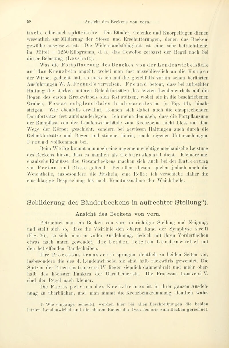 tische oder ancli sphärische. Die Bänder, Gelenke und Knorpelfugen dienen wesentlich zur Milderung- der Stösse und Erschütterungen, denen das Recken- gewölbe ausgesetzt ist. Die Widerstandst'ähigkeit ist eine sehr beträchtliche, im Mittel = 12r)0 Kilogramm, d.h., das (Jewölbe zerbarst der Regel nach bei dieser Belastung (Lesshaft). Was die Fort]iflanzinig des Druckes von der Lendcnwirbelsäule auf das Kreuzbein angelit, woIk'I man fast ausschliesslich an die Körper der Wirbel gedacht hat, so nuiss ich auf die gleichfalls vorhin schon berührten Ausführungen W. A. Freund's verweisen. Freund betont, dass bei aufrechter Haltung die starken unteren Gelenkfortsätze des letzten Lendenwirbels auf die Bögen des ersten Kreuzwirbcls sich fest stützen, wobei sie in die beschriebenen Gruben, Fossae subglenoi<l ales lum bosacrales ni. (s. Fig. 14), hinab- steigen. Wie ebenfalls crwälint, können sieh dabei auch die entsprechenden Dornfortsätze fest aufeinanderlegen. Ich meine demnach, dass die Fortpflanzung der Kumpflast von der Lendenwirbelsäule zum Kreuzbeine nicht Idoss auf dem Wege der Körper geschieht, sondern bei gewissen Haltungen auch durch die Gelenkfortsätze und Bögen und stimme hierin, nach eigenen Untersuchungen, Freund vollkommen bei. Beim Weibe konniit nun nocli eine ungemein wichtige mechanische Leistung des Beckens hinzu, dass es nändicb als Geburtskanal dient. Kleinere nie- chanische Einflüsse des Gesamtbeckens maclien sich aucli liei der Entleerung von IJccfum und Blase geltend. Bei allem diesen spielen jedoch auch die Wi'ichtheilc, insliesundere die Muskeln, eine Kolle; ich ^e^s(•hiel)c daher die einschlägige Besprechung bis nach Kcuntnissnahmc der A\'cichtiiciie. Schilderung des Bänderbeckens in aufrechter Stellung'). Ansicht des Beckens von vorn. Betrachtet man ein Becken von vorn in richtiger Stellung und Neigung, und stellt sich so, dass die Visirlinie den oberen Rand der Symphyse streift (Fig. 26), so sieht man in voller Ausdehnung, jedoch mit ihren Vorderflächen etwas nach unten gewendet, die beiden letzten Lendenwirbel mit den betreffenden Bandscheiben. Hire Processus fransversi springen deutlich zu beiden Seiten vor, insbesondere die des 4. Lendenwiri)els; sie sind iialb rückwärts gewendet. Die Spitzen der Processus transvcrsi IV liegen ziemlich daumenbreit und mehr ober- halb des h(iciisten Punktes der Darmbeincrista. Die Processus transvcrsi V. sind der Regel nach kleiner. Die Facies p elvi na des Kreuzbeines ist in ihrer ganzen Ausdeh- nung zu überblicken, und man nimmt die Kreuzljeinkrümmung deutlich wahr. 1) Wie eing-ang's b(MiK'rl<t, werden hier bei allen Beschre.ibniiy-en die beiden letzten Lendenwirbel und die oberen Enden der Ossa lenioris zum Becken gerechnet.