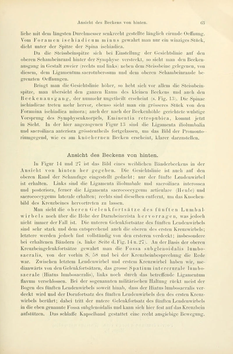 liehe mit dem längsten Durchmesser senkrecht gestellte länglich ciriiiide Oeffnung. Vom Fo r a m e n i s e h i a d i e u m minus gewahrt mau nur ein winziges Stück, dicht unter der Spitze der Spina ischiadica. Da die Steissbeiuspitze .sicli bei Einstellung der Gesichtslinie auf den oberen Schambeinrand hinter der Symphyse versteckt, so sieht mau den Beckeu- ausgang in Gestalt zweier (rechts und linksi ncitcn dem Stcissheiuc gelegenen, von diesem, dem Ligamentum saerotuberosum und dem oberen Schambeinrande be- grenzten Oeffnungen. Bringt man die Gesichtslinie höher, so hebt sich vor allem die Steissbeiu- spitze, man übersieht den ganzen Kaum des kleinen Beckens und auch den Becken aus gang, der nunmehr ungetheilt erscheint (s. Fig. l.5). Die Spinae ischiadicae treten mehr hervor, ebenso sielit man ein grösseres Stück von den Foramina ischiadica minora; auch der nach der Beckenhöhle gerichtete wulstige Vorsprung des Symplnsenknorpels, Emineutia retropubica, konnnt jetzt in Sicht. In der hier angezogenen Figur 13 sind die Ligamenta iliolumbaiia nnd sacroiliaca anteriora grösstenthcils fortgelassen, um das Bild der Promcmto-- riumgegend, wie es am knöchernen Becken erscheint, klarer darzustellen. Ansicht des Beckens von hinten. In Figur 14 und 27 ist das Bild eines weiblichen Bänderbeckens in der Ansiclit von hinten her gegeben. Die Gesichtshnie ist auch auf den oberen Rand der Schamfuge eingestellt gedacht; nur der fünfte Lendenwirbel ist erhalten. Links sind die Ligamenta iliolumbale und sacroiliaca interossea und posteriora, ferner die Ligamenta sacrococcygeum articulare (Heule) und saeroeoecygeum laterale erhalten; rechts sind dieselben entfernt, um das Kuochcn- bild des Kreuzbeines hervortreten zu lassen. Man sieht die oberen (i e 1 e n k f o r t s ä t z e des f ü n f t e n L u m b a I- w i r b e 1 s noch über die Höhe der Darmbeincrista h e r v o r r a g e n, was jedoch nicht immer der Fall ist. Die unteren Gelenklortsätze des fünften Lendenwirbels sind sehr stark nnd dem entsprechend auch die oberen des ersten Kreuzwirbels; letztere werden jedoch fast vollständig von den ersteren verdeckt; insbesondere bei erhaltenen Bändern (s. linke Seite d. Fig. 14 u.27j. Au der Basis der oberen Kreuzbeingelenkfortsätze gewahrt man die Fossa subglenoidalis lumbo- sacralis, von der vorhin S. 58 und bei der Kreuzbeinbesprechung die Rede war. Zwischen letztem Lendcnwiibcl und erstem Kreuzwirbel haben wir, uie- dianwärts von den Gclenkfortsätzcn, das grosse Spatium intercrurale lunibo- sacrale (Hiatus lumbosacralis), links noch durch das betreffende Ligamentum llavum verschlossen. Bei der sogenannten militärischen Haltung rückt meist der Bogen des fünften Lendenwirbels soweit hinab, dass der Hiatus knnbosacralis ver- deckt wird und der Dornfortsatz des fünften Lendenwirbels den des ersten Kreuz- wirbels berührt; dabei tritt der untere Gelenkfortsatz des fünften Lendenwirbels in die eben genannte Fossa subglenoidalis und kann sich hier fest auf das Kreuzbein aufstützen. Das schlafi'e Kapselband gestattet eine recht ausgiebige Bewegung.