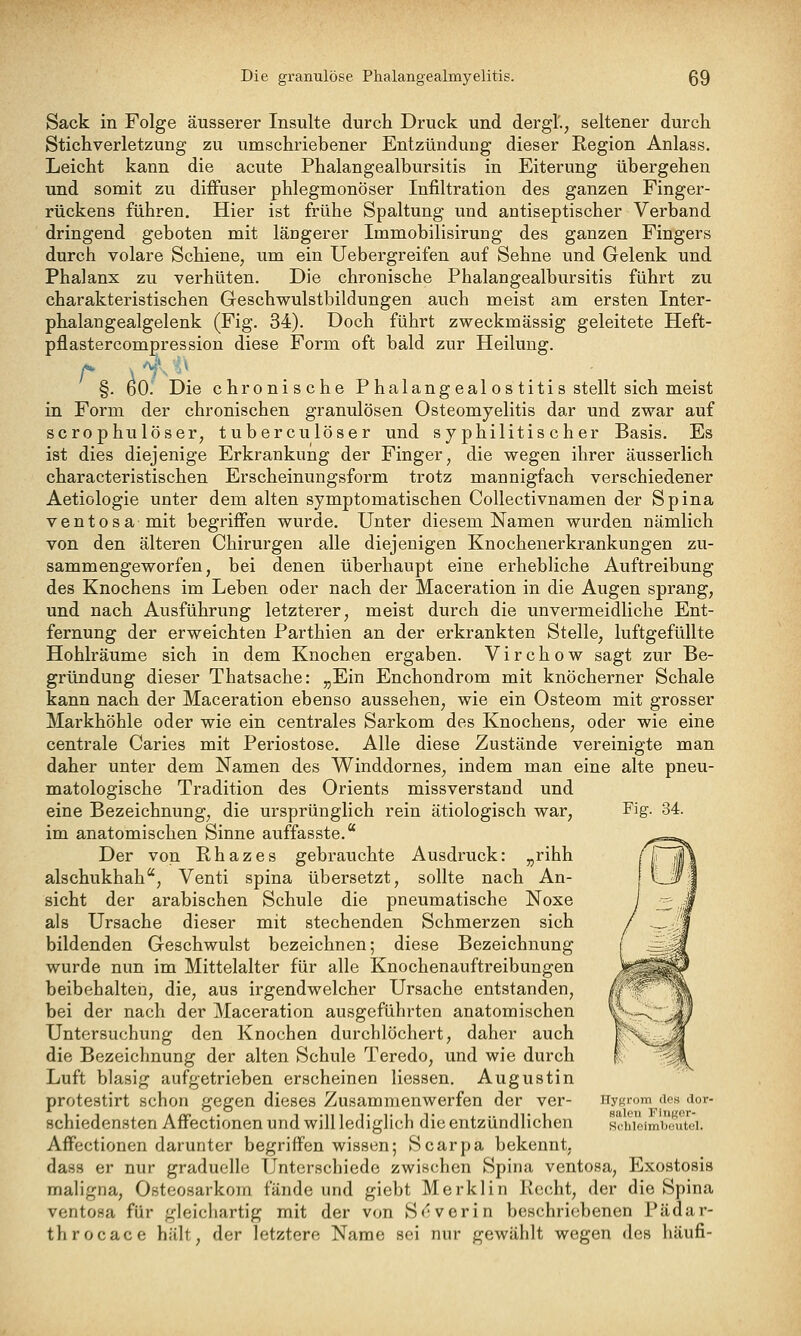 Sack in Folge äusserer Insulte durch Druck und dergl'., seltener durch Stichverletzung zu umschriebener Entzündung dieser Region Anlass. Leicht kann die acute Phalangealbursitis in Eiterung übergehen und somit zu diffuser phlegmonöser Infiltration des ganzen Finger- rückens führen. Hier ist frühe Spaltung und antiseptischer Verband dringend geboten mit längerer Immobilisirung des ganzen Fingers durch volare Schiene, um ein Uebergreifen auf Sehne und Gelenk und Phalanx zu verhüten. Die chronische Phalangealbursitis führt zu charakteristischen Geschwulstbildungen auch meist am ersten Inter- phalangealgelenk (Fig. 34). Doch führt zweckmässig geleitete Heft- pflastercompression diese Form oft bald zur Heilung. r ^^ ■' . . . ■ . . §. 60. Die chronische P halangeal os titis stellt sich meist in Form der chronischen granulösen Osteomyelitis dar und zwar auf scrophulöser, tuberculöser und syphilitischer Basis. Es ist dies diejenige Erkrankung der Finger, die wegen ihrer äusserlich characteristischen Erscheinungsform trotz mannigfach verschiedener Aetiologie unter dem alten symptomatischen Collectivnamen der Spina ventosa mit begriffen wurde. Unter diesem Namen wurden nämlich von den älteren Chirurgen alle diejenigen Knochenerkrankungen zu- sammengeworfen, bei denen überhaupt eine erhebliche Auftreibung des Knochens im Leben oder nach der Maceration in die Augen sprang, und nach Ausführung letzterer, meist durch die unvermeidliche Ent- fernung der erweichten Parthien an der erkrankten Stelle, luftgefüllte Hohlräume sich in dem Knochen ergaben. Virchow sagt zur Be- gründung dieser Thatsache: „Ein Enchondrom mit knöcherner Schale kann nach der Maceration ebenso aussehen, wie ein Osteom mit grosser Markhöhle oder wie ein centrales Sarkom des Knochens, oder wie eine centrale Caries mit Periostose. Alle diese Zustände vereinigte man daher unter dem Namen des Winddornes, indem man eine alte pneu- matologische Tradition des Orients missverstand und eine Bezeichnung, die ursprünglich rein ätiologisch war, Fig- 34. im anatomischen Sinne auffasste. Der von Rhazes gebrauchte Ausdruck: „rihh alschukhah'', Venti spina übersetzt, sollte nach An- sicht der arabischen Schule die pneumatische Noxe als Ursache dieser mit stechenden Schmerzen sich bildenden Geschwulst bezeichnen; diese Bezeichnung wurde nun im Mittelalter für alle Knochenauftreibungen beibehalten, die, aus irgendwelcher Ursache entstanden, bei der nach der Maceration ausgeführten anatomischen Untersuchung den Knochen durchlöchert, daher auch die Bezeichnung der alten Schule Teredo, und wie durch Luft blasig aufgetrieben erscheinen Hessen. Augustin protestirt schon gegen dieses Zusammenwerfen der ver- nyptrom des dor- schiedensten Affectionen und will lediglich die entzündlichen s'chioimbeutei. Affectionen darunter begriffen wissen; Scarpa bekennt, dass er nur graduelle Unterschiede zwischen Spina ventosa, Exostosis maligna, Osteosarkom fände und giebt Merklin Recht, der die Spina ventosa für gleichartig mit der von S<'verin beschriebenen Pädar- throcace hält, der letztere Name sei nur gewählt wegen des häufi-