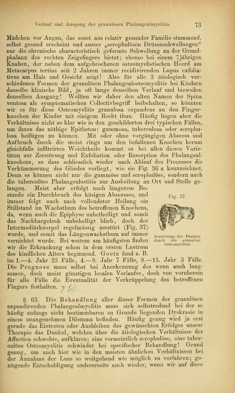 Mädchen vor Augen, das sonst aus relativ gesunder Familie stammend, selbst gesund erscheint und ausser „scrophulösen Drüsenschwellungen nur die chronische characteristisch geformte Schwellung an der Grund- phalanx des rechten Zeigefingers bietet; ebenso bei einem 7jährigen Knaben, der neben dem aufgebrochenen osteomyelistischen Heerd am Metacarpus tertius seit 2 Jahren immer recidivirenden Lupus exfolia- tivus am Hals und Gesicht zeigt! Also für alle 3 ätiologisch ver- schiedenen Formen der granulösen Phalangealosteomyelitis bei Kindern dasselbe klinische Bild, ja oft lange denselben Verlauf und bisweilen denselben Ausgang! Wollten wir daher den alten Namen der Spina ventosa als symptomatischen Collectivbegriff beibehalten, so könnten wir es für diese Osteomyelitis granulosa expandens an den Finger- knochen der Kinder mit einigem Recht thun. Häufig liegen aber die Verhältnisse nicht so klar wie in den geschilderten drei typischen Fällen, um ihnen das nöthige Epitheton: gummosa, tuberculosa oder scrophu- losa beifügen zu können. Mit oder ohne vorgängigen Abscess und Aufbruch durch die meist rings um den befallenen Knochen herum gleichfalls infiltrirten Weichtheile kommt es bei allen diesen Varie- täten zur Zerstörung und Exfoliation oder Resorption des Phalangeal- knochens, so dass schliesslich wieder nach Ablauf des Processes die Verkümmerung des Gliedes vorliegt, wie sie Fig. 36 a kennzeichnet. Denn es können nicht nur die gummöse und scrophulöse, sondern auch die tuberculöse Phalangealostitis zur Ausheilung an Ort und Stelle ge- langen. Meist aber erfolgt nach längerem Bcr Stande ein Durchbruch des käsigen Abscesses, und -pig. 37. immer folgt auch nach vollendeter Heilung ein Stillstand im Wachsthum des betroffenen Knochens, da, wenn auch die Epiphyse unbetheiligt und somit das Nachbargelenk unbehelligt blieb, doch der Intermediärknorpel regelmässig zerstört (Fig. 37) wurde, und somit das Längenwachsthum auf immer ze,,törung der pnaianx vernichtet wurde. Bei weitem am häufigsten finden ämch die granulöse wir die Erkrankung schon in dem ersten Lustrum des kindlichen Alters beginnend. Goetz fand z. B. im 1.—4. Jahr 23 Fälle, 4.-8. Jahr 7 Fälle, 8.—15. Jahr 3 Fälle. Die Prognose muss selbst bei Anerkennung des wenn auch lang- samen, doch meist günstigen localen Verlaufes, doch von vornherein für alle Fälle die Eventualität der Verkrüppelung des betroffenen Fingers festhalten, y / §. 63. Die Behandlung aller dieser Formen der granulösen expandirenden Phalangealmyelitis muss sich selbstredend bei der so häufig anfangs nicht bestimmbaren zu Grunde liegenden Dyskrasie in einem unangenehmen Dilemma befinden. Häufig genug wird ja erst gerade das Eintreten oder Ausbleiben des gewünschten Erfolges unsrer Therapie das Dunkel, welches über die ätiologischen Verhältnisse der Affection schwebte, aufklären; eine vermeintlich scrophulöse, eine tuber- culöse Osteomyelitis schwindet bei specifischer Behandlung! Grund genug, um auch hier wie in den meisten ähnlichen Verhältnissen bei der Annahme der Lues so weitgehend wie möglich zu vorfahren; ge- nügende Entschuldigung andererseits auch wieder, wenn wir auf diese
