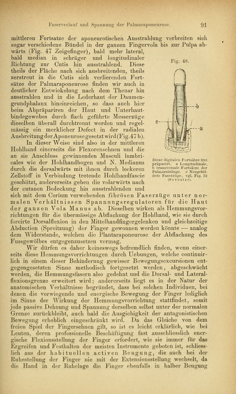 Fig. 48. r---a Diese digitalen Fortsätze frei präparirt. a Longitudinale, h transversale Fortsätze der Palmarstränge. c Neugebil- dete Faserzüge, vgl. Fig. 52 (Sevestre). mittleren Fortsatze der aponeurotischen Ausstrahlung verbreiten sich sogar verschiedene Bündel in der ganzen Fingervola bis zur Pulpa ab- wärts (Fig. 47 Zeigefinger), bald mehr lateral, bald median in schräger und longitudinaler Richtung zur Cutis hin ausstrahlend. Diese theils der Fläche nach sich ausbreitenden, theils zerstreut in die Cutis sich verlierenden Fort- sätze der Palmaraponeurose finden wir auch in deutlicher Eatwickelung nach dem Thenar hin ausstrahlen und in die Lederhaut der Daumen- grundphalanx hineinreichen, so dass auch hier beim Abpräpariren der Haut und Unterhaut- bindegewebes durch flach geführte Messerzüge dieselben überall durchtrennt werden und regel- mässig ein merklicher Defect in der radialen Ausbreitung derAponeurosegesetzt wird (Fig.47 b). In dieser Weise sind also in der mittleren Hohlhand einerseits die Flexorensehnen und die an sie Anschluss gewinnenden Musculi lumbri- cales wie der Hohlhandbogen und N. Medianus durch die dorsalwärts mit ihnen durch lockeren Zellstoff in Verbindung tretende Hohlhandfascie geschützt, andererseits geben die volarwärts nach der cutanen Bedeckung hin ausstrahlenden und sich mit dem Corium verwebenden fibrösen Faserzüge unter nor- malen Verhältnissen Spannungsregulatoren für die Haut der ganzen Vola Manus ab. Dieselben wirken als Hemmungsvor- richtungen für die übermässige Abflachung der Hohlhand, wie sie durch forcirte Dorsalflexion in den Mittelhandfingergelenken und gleichzeitige Abduction (Spreitzung) der Finger gewonnen werden könnte — analog dem Widerstände, welchen die Plantaraponeurose der Abflachung des Fussgewölbes entgegenzusetzen vermag. Wir dürfen es daher keineswegs befremdlich finden, wenn einer- seits diese Hemmungsvorrichtuugen durch Uebungen, welche continuir- lich in einem dieser Behinderung gewisser Bewegungsexcursionen ent- gegengesetzten Sinne methodisch fortgesetzt werden, abgeschwächt werden, die Hemmungsfasern also gedehnt und die Dorsal- und Lateral- flexionsgrenze erweitert wird; andererseits liegt es in der Natur der anatomischen Verhältnisse begründet, dass bei solchen Individuen, bei denen die vorwiegende und energische Bewegung der Finger lediglich im Sinne der Wirkung der Hemmungsvorrichtung stattfindet, somit jede passive Dehnung und Spannung derselben selbst unter der normalen Grenze zurückbleibt, auch bald die Ausgiebigkeit der antagonistischen Bewegung erheblich eingeschränkt wird. Da das Gleiche von dem freien Spiel der Fingersehnen gilt, so ist es leicht erklärlich, wie bei Leuten, deren professionelle Beschäftigung fast ausschliesslich ener- gische Flexionsstellung der Finger erfordert, wie sie immer für das Ergreifen und Festhalten der meisten Instrumente geboten ist, schliess- lich aus der habituellen activen l^eugung, die auch bei der Kuhestellung der Finger nie mit der Extensionsstellung wechselt, da die Hand in der Ruhelage die Finger ebenfalls in halber Beugung