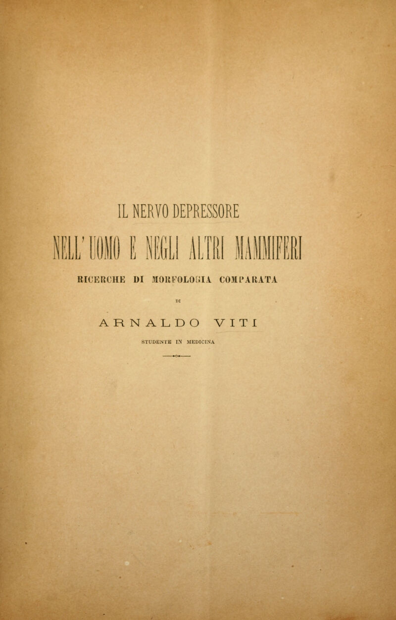 iUU i ffl ll'flti nii II n i PI 11 RICERCHE DI MORFOLOGIA COMPARATA ARNALDO VITI STUDENTE IN MEDICINA