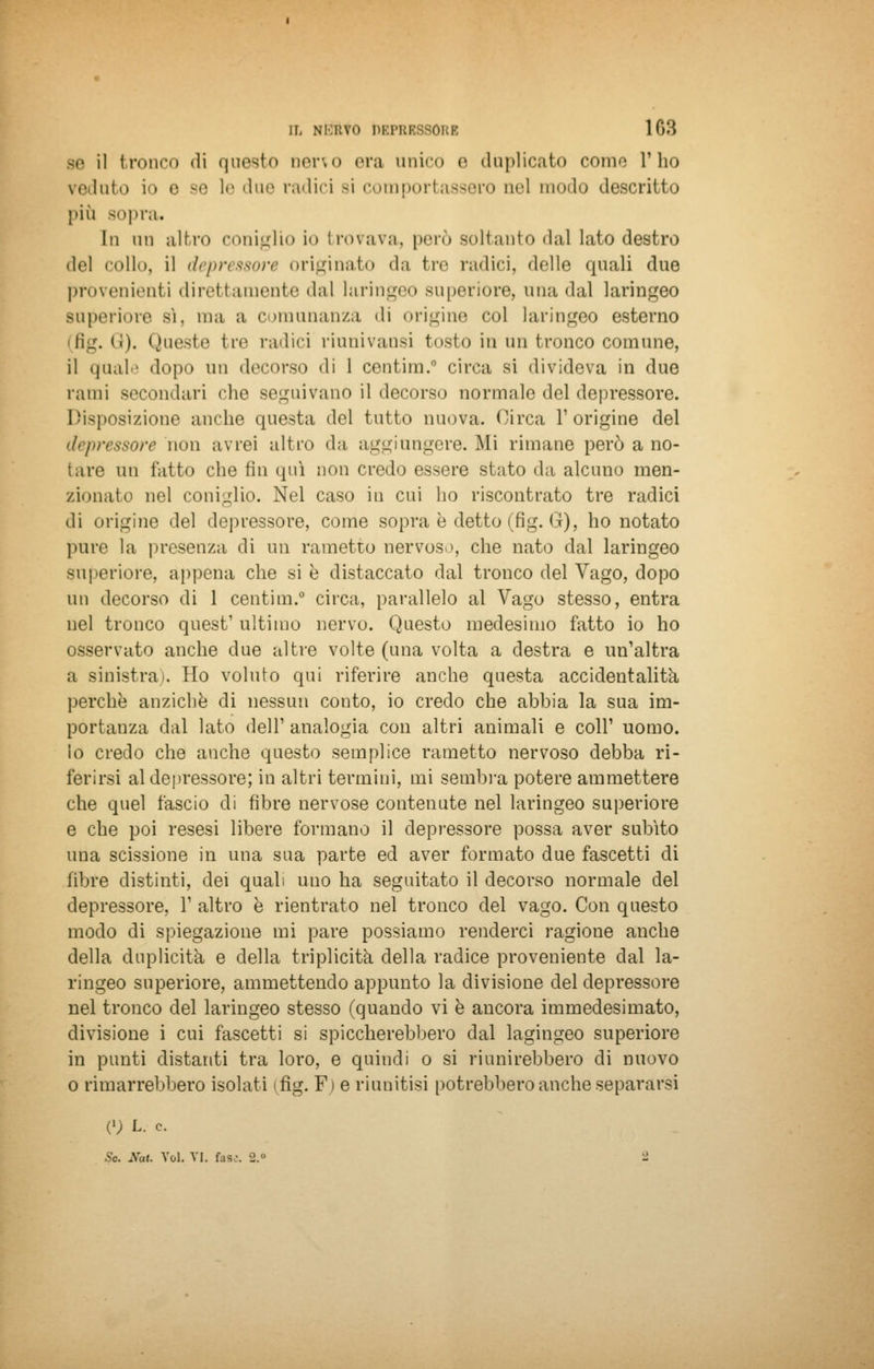 so il tronco (li questo neno era unico e duplicato conio l'ho veduto io e se le due radici si comportassero uel modo descritto più sopra. In un altro coniglio io trovava, per.) soltanto «lai lato destro del collo, il depressore originato da tre radici, «Ielle quali due provenienti direttamente dal laringeo superiore, una dal laringeo superiore sì, ma a comunanza di origine col laringeo esterno (fig. ««). Queste tre radici riunivansi tosto in un tronco comune, il quale dopo un decorso di 1 centim.0 circa si divideva in due rami secondari che seguivano il decorso normale del depressore. Disposizione anche questa del tutto nuova. Circa l'origine del depressore non avrei altro da aggiungere. Mi rimane però a no- tare un fatto che fin qui non credo essere stato da alcuno men- zionato nel coniglio. Nel caso in cui ho riscontrato tre radici di origine del depressore, come sopra è detto (fig. G), ho notato pure la presenza di un rametto nervoso, che nato dal laringeo superiore, appena che si è distaccato dal tronco del Vago, dopo un decorso di 1 centim.0 circa, parallelo al Vago stesso, entra nel tronco quest' ultimo nervo. Questo medesimo fatto io ho osservato anche due altre volte (una volta a destra e un'altra a sinistrai. Ho voluto qui riferire anche questa accidentalità, perchè anziché di nessun conto, io credo che abbia la sua im- portanza dal lato dell' analogia con altri animali e coli' uomo, lo credo che anche questo semplice rametto nervoso debba ri- ferirsi al depressore; in altri termini, mi sembra potere ammettere che quel fascio di fibre nervose contenute nel laringeo superiore e che poi resesi libere formano il depressore possa aver subito una scissione in una sua parte ed aver formato due fascetti di libre distinti, dei quali uno ha seguitato il decorso normale del depressore, 1' altro è rientrato nel tronco del vago. Con questo modo di spiegazione mi pare possiamo renderci ragione anche della duplicità e della triplicità della radice proveniente dal la- ringeo superiore, ammettendo appunto la divisione del depressore nel tronco del laringeo stesso (quando vi è ancora immedesimato, divisione i cui fascetti si spiccherebbero dal lagingeo superiore in punti distanti tra loro, e quindi o si riunirebbero di nuovo o rimarrebbero isolati ifig. Fi e riunitisi potrebbero anche separarsi C) L. e. Se. Nat. Voi. VI. fase. 2.» -