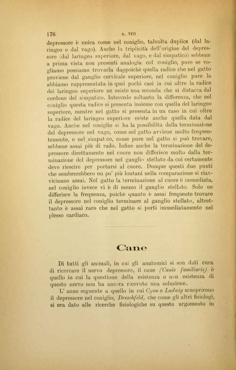 depressore è unica come nel coniglio, talvolta duplice (dal la- ringeo e dal vago). Anche la triplicità dell'origine del depres- sore (dal laringeo superiore, dal vago, e dal simpatico) sebbene a prima vista non presenti analogia col coniglio, pure se vo- gliamo possiamo trovarla dappoiché quella radice che nel gatto proviene dal ganglio cervicale superiore, nel coniglio pure la abbiamo rappresentata in quei pochi casi in cui oltre la radice del laringeo superiore ne esiste una seconda che si distacca dal cordone del simpatico. Intercede soltanto la differenza, che nel coniglio questa radice si presenta insieme con quella del laringeo superiore, mentre nel gatto si presenta in un caso in cui oltre la radice del laringeo superiore esiste anche quella data dal vago. Anche nel coniglio si ha la possibilità della terminazione del depressore nel vago, come nel gatto avviene molto frequen- temente, e nel,simpatico, come pure nel gatto si può trovare, sebbene assai più di rado. Infine anche la terminazione del de- pressore direttamente nel cuore non differisce molto dalla ter- minazione del depressore nel ganglio stellato da cui certamente deve riescire per portarsi al cuore. Dunque questi due punti che sembrerebbero un pò1 più lontani nella comparazione si riav- vicinano assai. Nel gatto la terminazione al cuore è immediata, nel coniglio invece vi è di mezzo il ganglio stellato. Solo ne differisce la frequenza, poiché quanto è assai frequente trovare il depressore nel coniglio terminare al ganglio stellato, altret- tanto è assai raro che nel gatto si porti immediatamente nel plesso cardiaco. Cane Di tutti gli animali, in cui gli anatomici si son dati cura di ricercare il nervo depressore, il cane (Canis familiarisj è quello in cui la questione della esistenza o non esistenza di questo nervo non ha ancora ricevuto una soluzione. L1 anno seguente a quello in cui Cyon e Ludwig scuoprirono il depressore nel coniglio, Dreschfeld, che come gli altri fisiologi, si era dato alle ricerche fisiologiche su questo argomento in