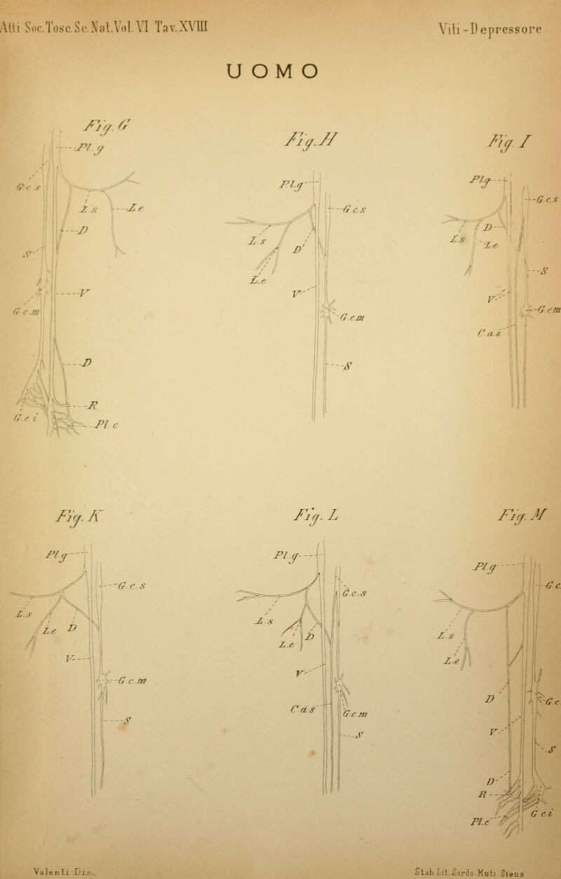 UOMO //v G 9 TV i // /;>.// fty / Ze ' G. r i /> P -R PI e - G r S S Pia Gcs J> 7 * G rm Fiy. A Fi'j.L Fiy.Jf „■ G r m s ras kU.cs G' r m rty Valenti ! Stab Li'. Sordo Muli Siene