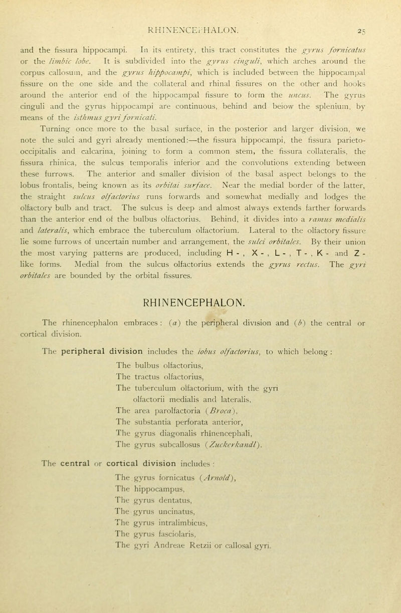 and the fissura hippocampi. In its entirety, this tract constitutes the gyrus fornicatus or the limbic lobe. It is subdivided into the gyrus ctnguli, which arches around the corpus catlosum, and the gyrus hippocampi, which is included between the hippocampal fissure on the one side and the collateral and rhinal fissures on the other and hooks around the anterior end of the hippocampal fissure to form the uncus. The gyrus cinguli and the gyrus hippocampi are continuous, behind and beiow the splenium, by means of the isthmus gyrifornicati. Turning once more to the basal surface, in the posterior and larger division, we note the sulci and gyri already mentioned:—the fissura hippocampi, the fissura parieto- occipitalis and calcarina, joining to form a common stem, the fissura coUateralis, the fissura rhinica, the sulcus temporalis inferior and the convolutions extending between these furrows. The anterior and smaller division of the basal aspect belongs to the lobus frontalis, being known as its orbital surface. Near the medial border of the latter, the straight sulcus olfactorius runs forwards and somewhat medially and lodges the olfactory bulb and tract. The sulcus is deep and almost always extends farther forwards than the anterior end of the bulbus olfactorius. Behind, it divides into a ramus medialis and lateralis, which embrace the tuberculum olfactorium. Lateral to the olfactory fissure lie some furrows of uncertain number and arrangement, the sulci orbitales. By their union the most varying patterns are produced, including H-, X-,L-,T-,K- and Z - like forms. ^Medial from the sulcus olfactorius extends the gyrus rectus. The gyn orbitales are bounded b)' the orbital fissures. RHINENCEPHALON. The rhinencephalon embraces : {a') the peripheral division and (/') the central or cortical division. Thu peripheral division includes the iobus olfactorius, to whicli belong: The bulbus olfactorius. The tractus olfactorius, The tuberculum olfactorium, with the gyn olfactorii medialis and lateralis, The area parolfactoria {Broca), The substantia perforata anterior, The gyrus diagonalis rhinencephali. The gyrus subcallosus {Zuckcrkandl). The central ur cortical division includes: The gyrus fornicatus {Arnold), The hippocampus, The gyrus dentatus. The gyrus uncinatus. The gyrus intralimbicus. The gyrus fasciolaris. The gyri Andrt-ac Retzii or callosal gyn.