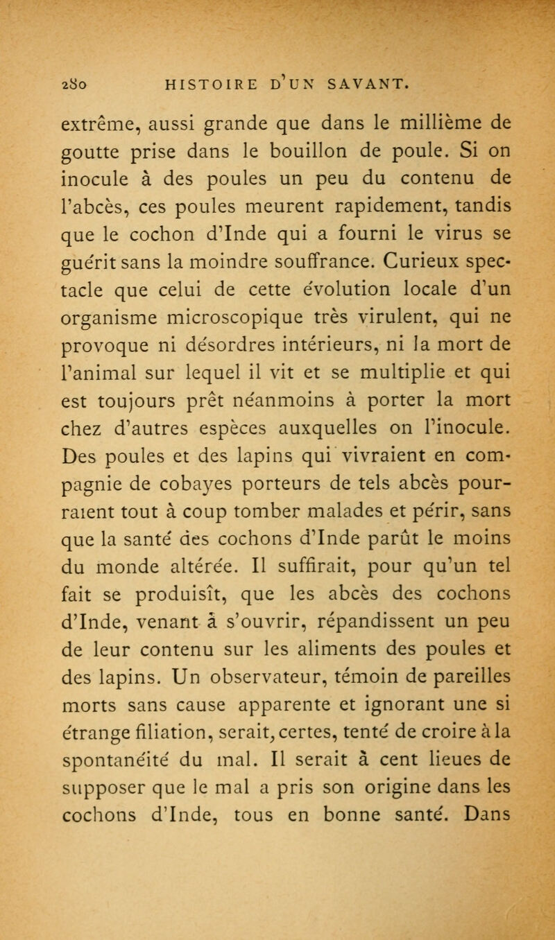 extrême, aussi grande que dans le millième de goutte prise dans le bouillon de poule. Si on inocule à des poules un peu du contenu de l'abcès, ces poules meurent rapidement, tandis que le cochon d'Inde qui a fourni le virus se gue'rit sans la moindre souffrance. Curieux spec- tacle que celui de cette évolution locale d'un organisme microscopique très virulent, qui ne provoque ni désordres intérieurs, ni la mort de l'animal sur lequel il vit et se multiplie et qui est toujours prêt néanmoins à porter la mort chez d'autres espèces auxquelles on l'inocule. Des poules et des lapins qui vivraient en com- pagnie de cobayes porteurs de tels abcès pour- raient tout à coup tomber malades et périr, sans que la santé des cochons d'Inde parût le moins du monde altérée. Il suffirait, pour qu'un tel fait se produisît, que les abcès des cochons d'Inde, venant à s'ouvrir, répandissent un peu de leur contenu sur les aliments des poules et des lapins. Un observateur, témoin de pareilles morts sans cause apparente et ignorant une si étrange filiation, serait, certes, tenté de croire à la spontanéité du mal. Il serait à cent lieues de supposer que le mal a pris son origine dans les cochons d'Inde, tous en bonne santé. Dans