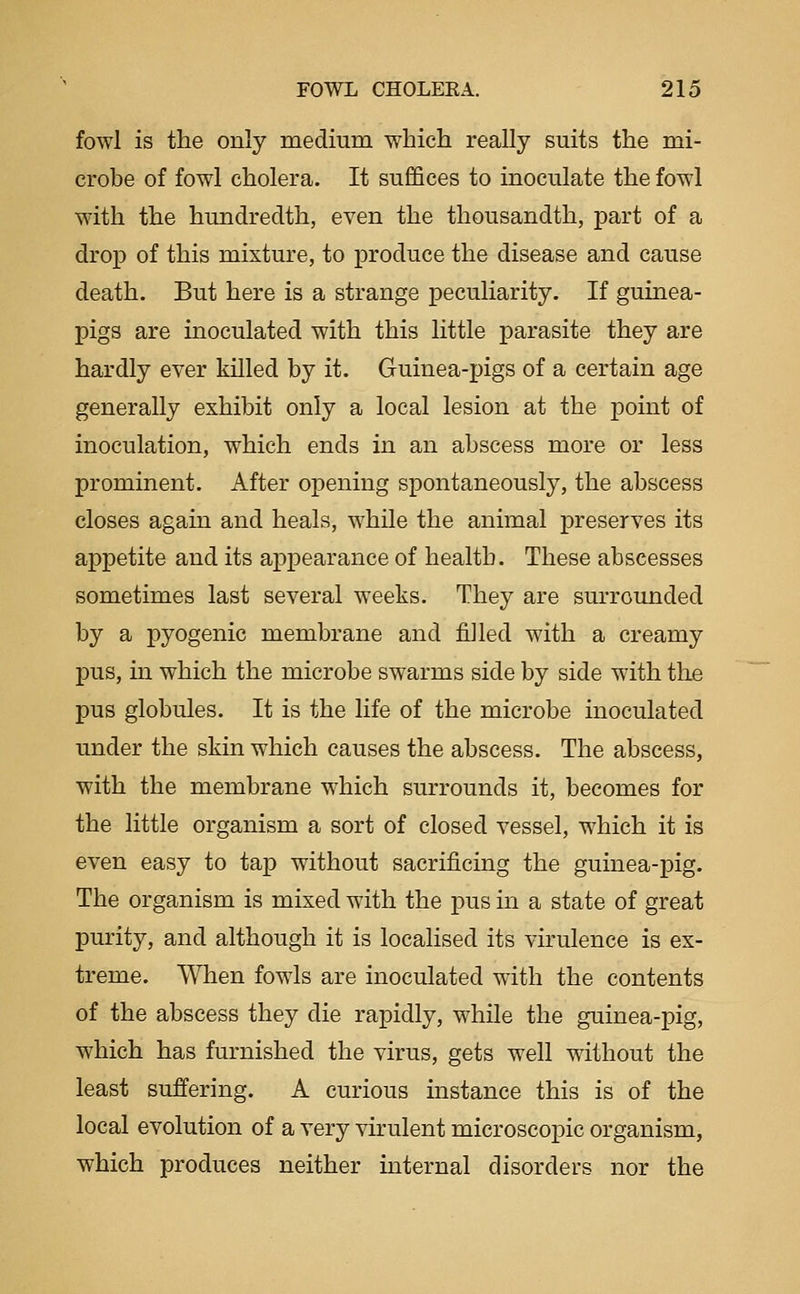 fowl is the only medium which really suits the mi- crobe of fowl cholera. It suffices to inoculate the fowl with the hundredth, even the thousandth, part of a drop of this mixture, to produce the disease and cause death. But here is a strange peculiarity. If guinea- pigs are inoculated with this little parasite they are hardly ever killed by it. Guinea-pigs of a certain age generally exhibit only a local lesion at the point of inoculation, which ends in an abscess more or less prominent. After opening spontaneously, the abscess closes agam and heals, while the animal preserves its appetite and its appearance of health. These abscesses sometimes last several weeks. They are surrounded by a pyogenic membrane and filled with a creamy pus, in which the microbe swarms side by side with the pus globules. It is the life of the microbe inoculated under the skin which causes the abscess. The abscess, with the membrane which surrounds it, becomes for the little organism a sort of closed vessel, which it is even easy to tap without sacrificing the guinea-pig. The organism is mixed with the pus in a state of great purity, and although it is localised its virulence is ex- treme. When fowls are inoculated with the contents of the abscess they die rapidly, while the guinea-pig, which has furnished the virus, gets well without the least suffering. A curious instance this is of the local evolution of a very virulent microscopic organism, which produces neither internal disorders nor the