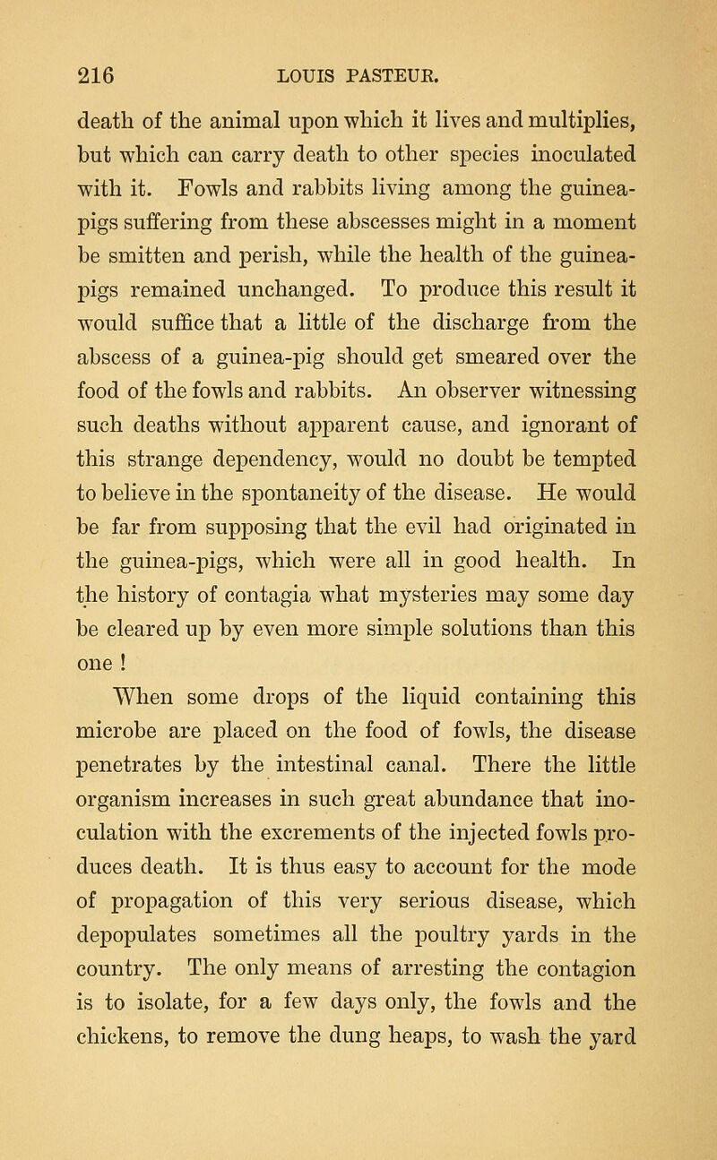 death of the animal upon which it Hves and multipHes, but which can carry death to other species inoculated with it. Fowls and rabbits living among the guinea- pigs suffering from these abscesses might in a moment be smitten and perish, while the health of the guinea- pigs remained unchanged. To produce this result it would suffice that a little of the discharge from the abscess of a guinea-pig should get smeared over the food of the fowls and rabbits. An observer witnessing such deaths without apparent cause, and ignorant of this strange dependency, would no doubt be tempted to believe in the spontaneity of the disease. He would be far from supposing that the evil had originated in the guinea-pigs, which were all in good health. In the history of contagia what mysteries may some day be cleared up by even more simple solutions than this one ! When some drops of the liquid containing this microbe are placed on the food of fowls, the disease penetrates by the intestinal canal. There the little organism increases in such great abundance that ino- culation with the excrements of the injected fowls pro- duces death. It is thus easy to account for the mode of propagation of this very serious disease, which depopulates sometimes all the poultry yards in the country. The only means of arresting the contagion is to isolate, for a few days only, the fowls and the chickens, to remove the dung heaps, to wash the yard