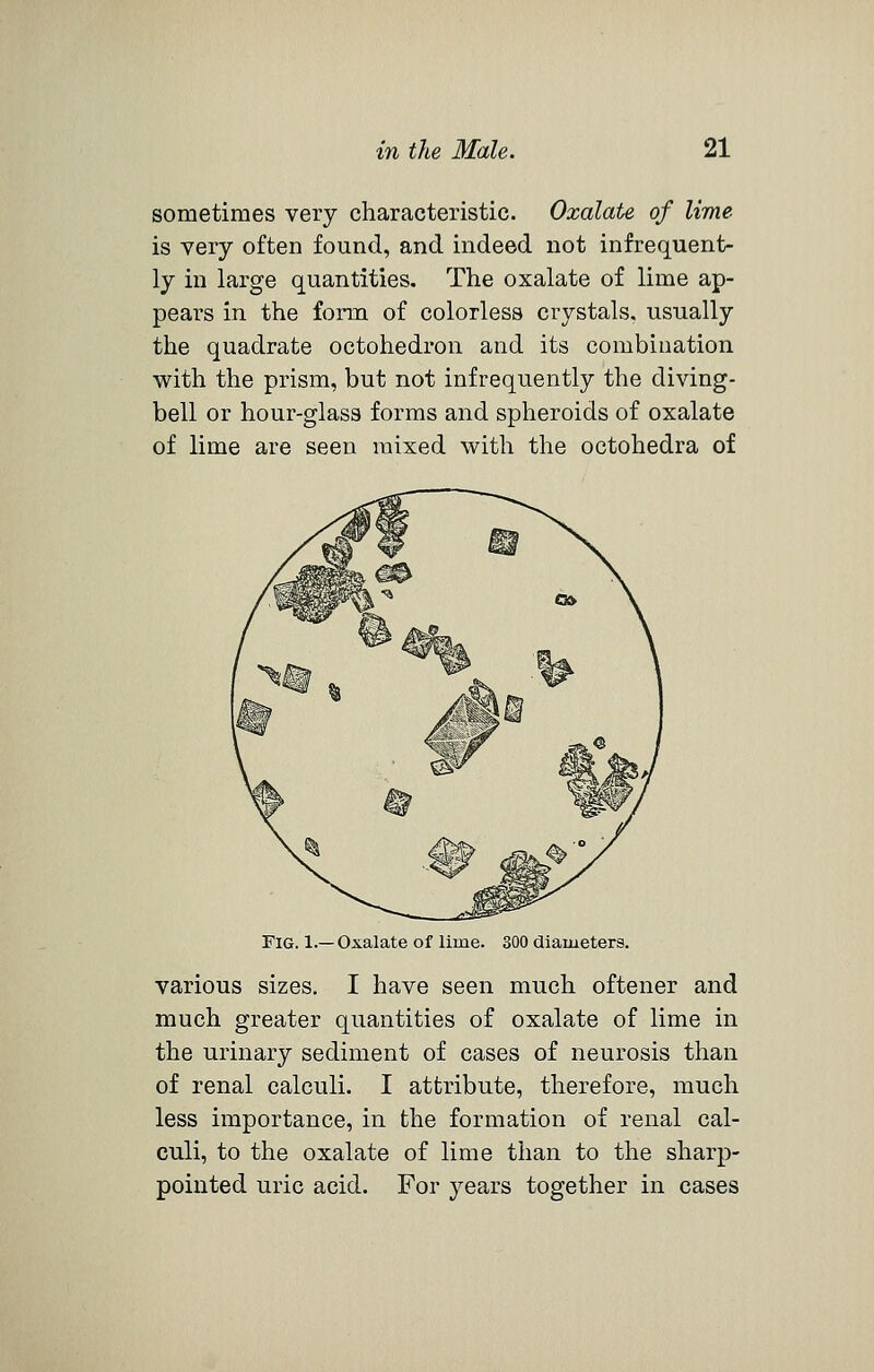 sometimes very characteristic. Oxalate of lime is very often found, and indeed not infrequent- ly in large quantities. The oxalate of lime ap- pears in the form of colorless crystals, usually the quadrate octohedron and its combiuation with the prism, but not infrequently the diving- bell or hour-glass forms and spheroids of oxalate of lime are seen mixed with the octohedra of Fig. 1.— Oxalate of lime. 300 diameters. various sizes. I have seen much oftener and much greater quantities of oxalate of lime in the urinary sediment of cases of neurosis than of renal calculi. I attribute, therefore, much less importance, in the formation of renal cal- culi, to the oxalate of lime than to the sharp- pointed uric acid. For years together in cases