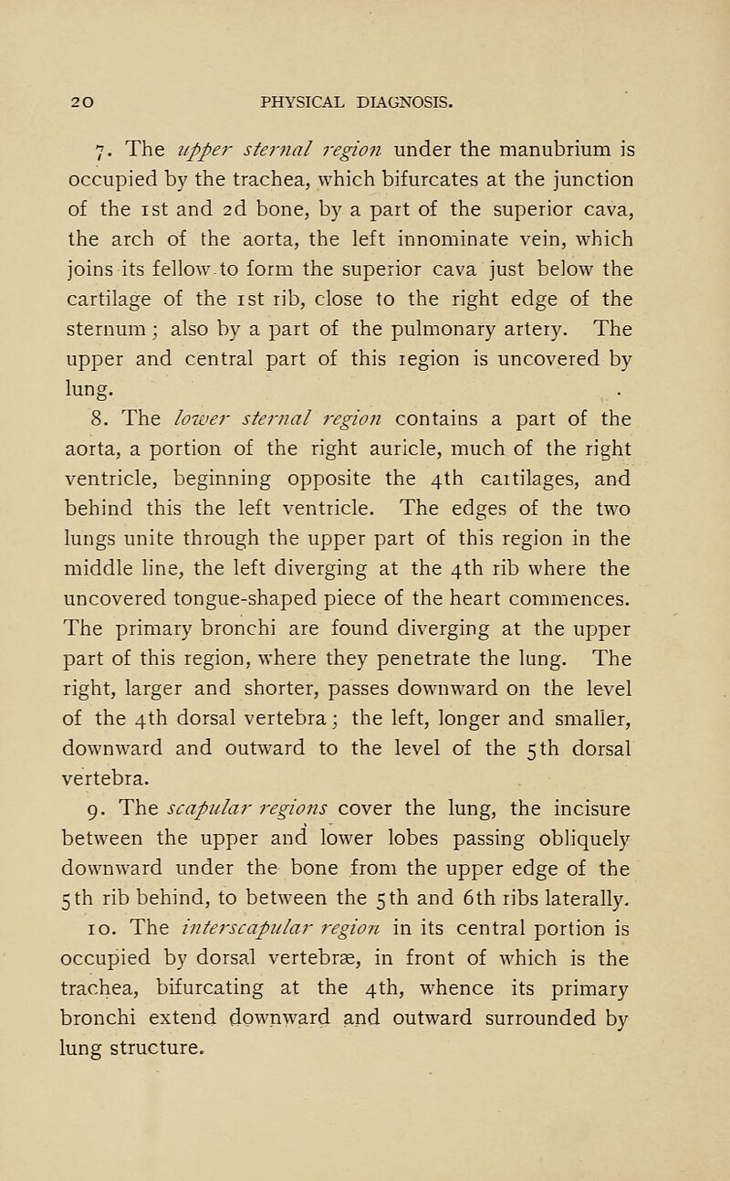 7. The tipper sternal region under the manubrium is occupied by the trachea, which bifurcates at the junction of the ist and 2d bone, by a part of the superior cava, the arch of the aorta, the left innominate vein, which joins its fellow.to form the superior cava just below the cartilage of the ist rib, close to the right edge of the sternum ; also by a part of the pulmonary artery. The upper and central part of this region is uncovered by lung. 8. The lower sternal region contains a part of the aorta, a portion of the right auricle, much of the right ventricle, beginning opposite the 4th caitilages, and behind this the left ventricle. The edges of the two lungs unite through the upper part of this region in the middle line, the left diverging at the 4th rib where the uncovered tongue-shaped piece of the heart commences. The primary bronchi are found diverging at the upper part of this region, where they penetrate the lung. The right, larger and shorter, passes downward on the level of the 4th dorsal vertebra; the left, longer and smaller, downward and outward to the level of the 5th dorsal vertebra. 9. The scapular regions cover the lung, the incisure between the upper and lower lobes passing obliquely downward under the bone from the upper edge of the 5 th rib behind, to between the 5th and 6th ribs laterally. 10. The interscapular region in its central portion is occupied by dorsal vertebrae, in front of which is the trachea, bifurcating at the 4th, whence its primary bronchi extend downward and outward surrounded by lung structure.