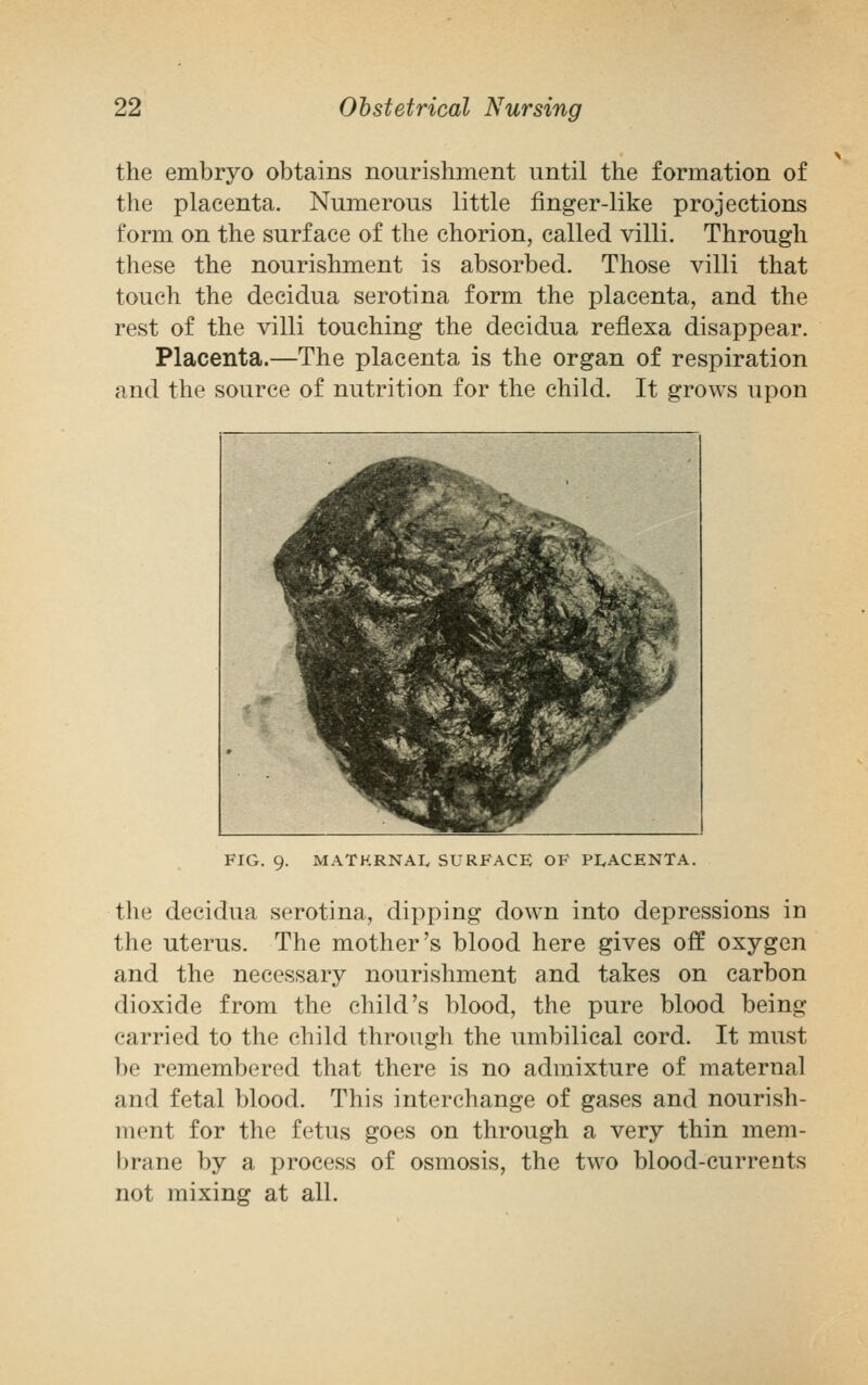 the embryo obtains nourishment until the formation of the placenta. Numerous little finger-like projections form on the surface of the chorion, called villi. Through these the nourishment is absorbed. Those villi that touch the decidua serotina form the placenta, and the rest of the villi touching the decidua renexa disappear. Placenta.—The placenta is the organ of respiration and the source of nutrition for the child. It grows upon FIG. 9. MATKRNAL SURFACE OF PLACENTA. the decidua serotina, dipping down into depressions in the uterus. The mother's blood here gives off oxygen and the necessary nourishment and takes on carbon dioxide from the child's blood, the pure blood being carried to the child through the umbilical cord. It must be remembered that there is no admixture of maternal and fetal blood. This interchange of gases and nourish- ment for the fetus goes on through a very thin mem- brane by a process of osmosis, the two blood-currents not mixing at all.