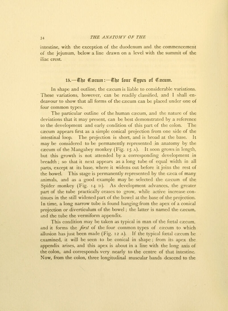 intestine, with the exception of the duodenum and the commencement of the jejunum, below a line drawn on a level with the summit of the iliac crest. 13.—flje Cajtum:—fijg four %p£a of ©stum. In shape and outline, the csecum is liable to considerable variations. These variations, however, can be readily classified, and I shall en- deavour to show that all forms of the caecum can be placed under one of four common types. The particular outline of the human csecum, and the nature of the deviations that it may present, can be best demonstrated by a reference to the development and early condition of this part of the colon. The csecum appears first as a simple conical projection from one side of the intestinal loop. The projection is short, and is broad at the base. It may be considered to be permanently represented in anatomy by the caecum of the Mangabey monkey (Fig. 15 a). It .soon grows in length, but this growth is not attended by a corresponding development in breadth ; so that it next appears as a long tube of equal width in all parts, except at its base, where it widens out before it joins the rest of the bowel. This stage is permanently represented by the caeca of many animals, and as a good example may be selected the caecum of the Spider monkey (Fig. 14 d). As development advances, the greater part of the tube practically ceases to grow, while active increase con- tinues in the still widened part of the bowel at the base of the projection. In time, a long narrow tube is found hanging from the apex of a conical projection or diverticulum of the bowel; the latter is named the caecum, and the tube the vermiform appendix. This condition may be taken as typical in man of the foetal caecum, and it forms the first of the four common types of caecum to which allusion has just been made (Fig. 12 a). If the typical foetal caecum be examined, it will be seen to be conical in shape ; from its apex the appendix arises, and this apex is about in a line with the long axis of the colon, and corresponds very nearly to the centre of that intestine. Now, from the colon, three longitudinal muscular bands descend to the