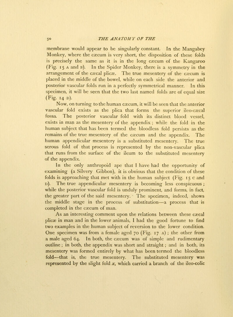 membrane would appear to be singularly constant. In the Mangabey Monkey, where the ccecum is very short, the disposition of these folds is precisely the same as it is in the long caecum of the Kangaroo (Fig. 15 A and b). In the Spider Monkey, there is a symmetry in the arrangement of the caecal plicae. The true mesentery of the caecum is placed in the middle of the bowel, while on each side the anterior and posterior vascular folds run in a perfectly symmetrical manner. In this specimen, it will be seen that the two last named folds are of equal size (Fig. 14 d). Now, on turning to the human caecum, it will be seen that the anterior vascular fold exists as the plica that forms the superior ileo-caecal fossa. The posterior vascular fold with its distinct blood vessel, exists in man as the mesentery of the appendix ; while the fold in the human subject that has been termed the bloodless fold persists as the remains of the true mesentery of the caecum and the appendix. The human appendicular mesentery is a substituted mesentery. The true serous fold of that process is represented by the non-vascular plica that runs from the surface of the ileum to the substituted mesentery of the appendix. In the only anthropoid ape that I have had the opportunity of examining (a Silvery Gibbon), it is obvious that the condition of these folds is approaching that met with in the human subject (Fig. 15 c and d). The true appendicular mesentery is becoming less conspicuous ; while the posterior vascular fold is unduly prominent, and forms, in fact, the greater part of the said mesentery. • The specimen, indeed, shows the middle stage in the process of substitution—a process that is completed in the caecum of man. As an interesting comment upon the relations between these caecal plicae in man and in the lower animals, I had the good fortune to find two examples in the human subject of reversion to the lower condition. One specimen was from a female aged 70 (Fig. 17 a) ; the other from a male aged 64. In both, the cscum was of simple and rudimentary outline ; in both, the appendix was short and straight; and in both, its mesentery was formed entirely by what has been termed the bloodless fold—that is, the true mesentery. The substituted mesentery was represented by the slight fold x, which carried a branch of the ileo-colic