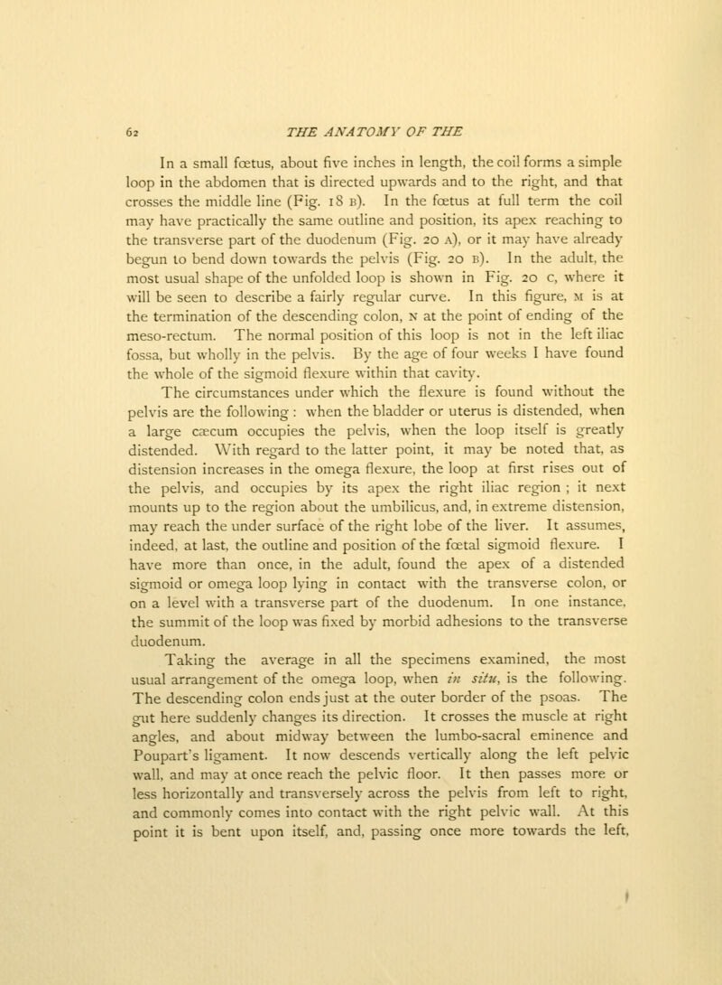 In a small foetus, about five inches in length, the coil forms a simple loop in the abdomen that is directed upwards and to the right, and that crosses the middle line (Fig. iS b). In the fcetus at full term the coil may have practically the same outline and position, its apex reaching to the transverse part of the duodenum (Fig. 20 a), or it may have already begun to bend down towards the pelvis (Fig. 20 b). In the adult, the most usual shape of the unfolded loop is shown in Fig. 20 c, where it will be seen to describe a fairly regular cur\'e. In this figure, m is at the termination of the descending colon, n at the point of ending of the meso-rectum. The normal position of this loop is not in the left iliac fossa, but wholly in the pelvis. By the age of four weeks I have found the whole of the sigmoid flexure within that cavit}'. The circumstances under which the flexure is found without the pelvis are the following : when the bladder or uterus is distended, when a large ccecum occupies the pelvis, when the loop itself is greatly distended. With regard to the latter point, it may be noted that, as distension increases in the omega flexure, the loop at first rises out of the pelvis, and occupies by its apex the right iliac region ; it next mounts up to the region about the umbilicus, and, in extreme distension, may reach the under surface of the right lobe of the liver. It assumes, indeed, at last, the outline and position of the foetal sigmoid flexure. I have more than once, in the adult, found the apex of a distended sigmoid or omega loop lying in contact with the transverse colon, or on a level with a transverse part of the duodenum. In one instance, the summit of the loop was fixed by morbid adhesions to the transverse duodenum. Taking the average in all the specimens examined, the most usual arrangement of the omega loop, when in situ, is the following. The descending colon ends just at the outer border of the psoas. The gut here suddenly changes its direction. It crosses the muscle at right angles, and about midway between the lumbo-sacral eminence and Poupart's ligament. It now descends vertically along the left pelvic wall, and may at once reach the pelvic floor. It then passes more or less horizontally and transversely across the pelvis from left to right, and commonly comes into contact with the right pelvic wall. At this point it is bent upon itself and, passing once more towards the left.