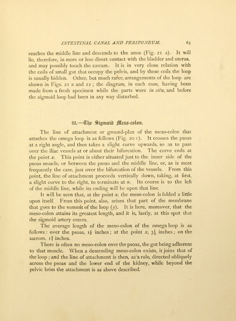 reaches the middle line and descends to the anus (Fig. 21 a). It will lie, therefore, in more or less direct contact with the bladder and uterus, and may possibly touch the caecum. It is in very close relation with the coils of small gut that occupy the pelvis, and by these coils the loop is usually hidden. Other, but much raider, arrangements of the loop are shown in Figs. 21 b and 22 ; the diagram, in each case, having been made from a fresh specimen while the parts were in situ, and before the sigmoid loop had been in any way disturbed. 28.—®Ijc ^igmoiii iEao-colnn. The line of attachment or ground-plan of the meso-colon that attaches the omega loop is as follows (Fig. 20 c). It crosses the psoas at a right angle, and then takes a slight curve upwards, so as to pass over the iliac vessels at or about their bifurcation. The curve ends at the point x. This point is either situated just to the inner side of the psoas muscle, or between the psoas and the middle line, or, as is most frequently the case, just over the bifurcation of the vessels. From this point, the line of attachment proceeds vertically down, taking, at first, a slight curve to the right, to terminate at n. Its course is to the left of the middle line, while its ending will be upon that line. It will be seen that, at the pointer, the meso-colon is folded a little upon itself From this point, also, arises that part of the membrane that goes to the summit of the loop {y). It is here, moreover, that the meso-colon attains its greatest length, and it is, lastly, at this spot that the sigmoid artery enters. The average length of the meso-colon of the omega loop is as follows : over the psoas, li inches ; at the point x, 2,1 inches ; on the sacrum, if inches. There is often no meso-colon over the psoas, the gut being adherent to that muscle. When a descending meso-colon exists, it joins that of the loop ; and the line of attachment is then, as a rule, directed obliquely across the psoas and the lower end of the kidney, while beyond the pelvic brim the attachment is as above described.