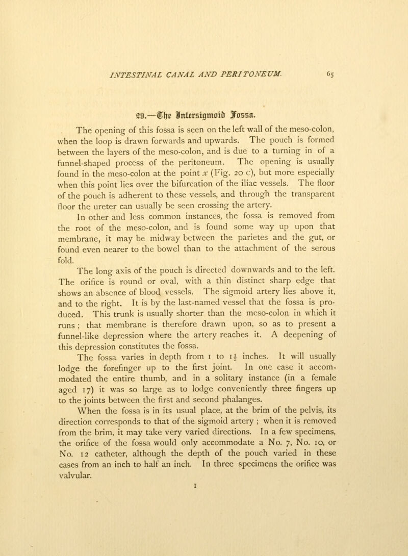 29.—f be Intrrsigmoiti Jossa. The opening of this fossa is seen on the left wall of the meso-colon, when the loop is drawn forwards and upwards. The pouch is formed between the layers of the meso-colon, and is due to a turning in of a funnel-shaped process of the peritoneum. The opening is usually found in the meso-colon at the point x (Fig. 20 c), but more especially when this point lies over the bifurcation of the iliac vessels. The floor of the pouch is adherent to these vessels, and through the transparent floor the ureter can usually be seen crossing the artery. In other and less common instances, the fossa is removed from the root of the meso-colon, and is found some way up upon that membrane, it may be midway between the parietes and the gut, or found even nearer to the bowel than to the attachment of the serous fold. The lono- axis of the pouch is directed downwards and to the left. The orifice is round or oval, with a thin distinct sharp edge that shows an absence of blood vessels. The sigmoid artery lies above it, and to the right. It is by the last-named vessel that the fossa is pro- duced. This trunk is usually shorter than the meso-colon in which it runs ; that membrane is therefore drawn upon, so as to present a funnel-like depression where the artery reaches it. A deepening of this depression constitutes the fossa. The fossa varies in depth from i to \\ inches. It will usually lodge the forefinger up to the first joint. In one case it accom- modated the entire thumb, and in a solitary instance (in a female aged 17) it was so large as to lodge conveniently three fingers up to the joints between the first and second phalanges. When the fossa is in its usual place, at the brim of the pelvis, its direction corresponds to that of the sigmoid artery ; when it is removed from the brim, it may take very varied directions. In a few specimens, the orifice of the fossa would only accommodate a No. 7, No. 10, or No. 12 catheter, although the depth of the pouch varied in these cases from an inch to half an inch. In three specimens the orifice was valvular.
