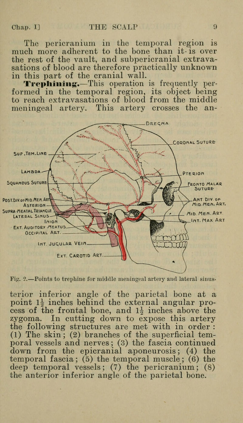 The pericranium in the temporal region is much more adherent to the bone than it-is over the rest of the vault, and subpericranial extrava- sations of blood are therefore practically unknown in this part of the cranial wall. Trephining-.—This operation is frequently per- formed in the temporal region, its object being to reach extravasations of blood from the middle meningeal artery. This artery crosses the an- DREq/^A Sup .Tem.line Lambda Squamous Suture POST.DlV.OFfllD.MEn.AR- AsTEP-ION SupraMeatalTriamcle Lateral Sirtus IftIO Ext. Auditory /ieatus Occipital Art IflT. JUQULAR. VEIM Ext. Carotid Art Fig. 2.—Points to trephine for middle meningeal artery and lateral sinus- terior inferior angle of the parietal bone at a point 1| inches behind the external angular pro- cess of the frontal bone, and l| inches above the zygoma. In cutting down to expose this artery the following structures are met with in order : (1) The skin; (2) branches of the superficial tem- poral vessels and nerves; (3) the fascia continued down from the epicranial aponeurosis; (4) the temporal fascia; (5) the temporal muscle; (6) the deep temporal vessels; (7) the pericranium; (8) the anterior inferior angle of the parietal bone.