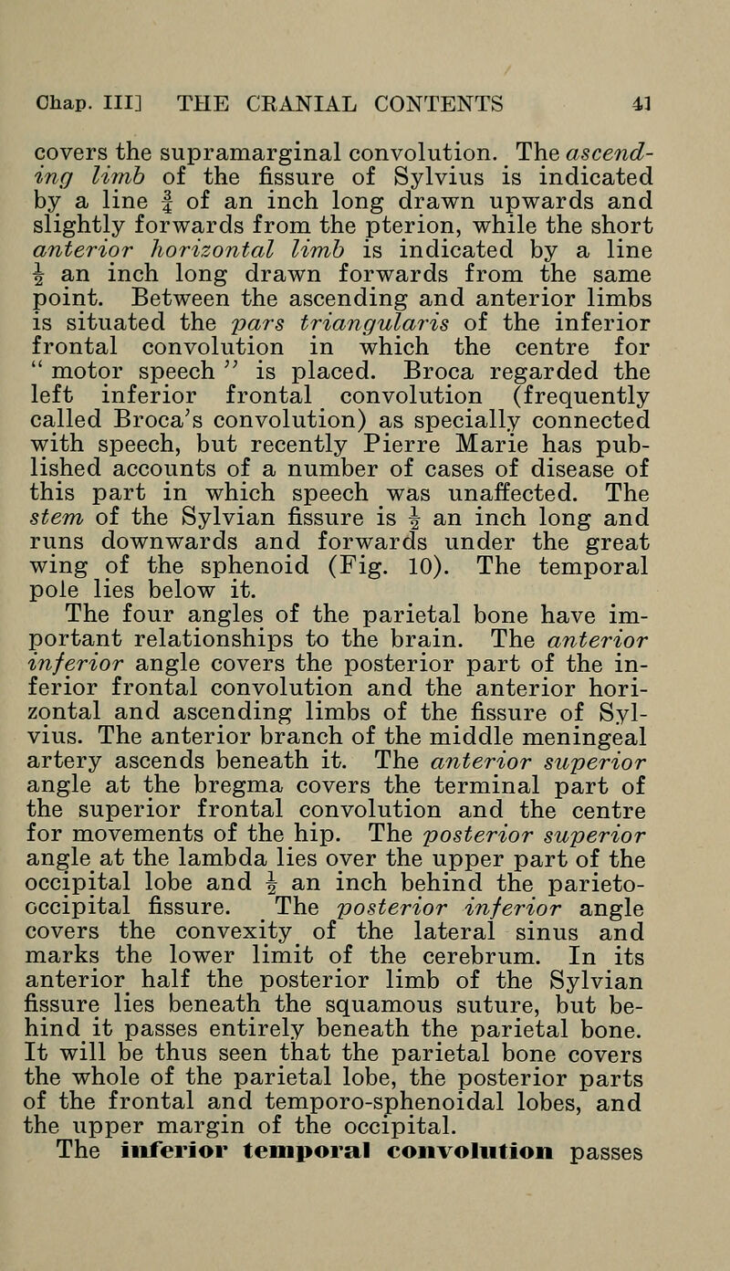 covers the supramarginal convolution. The ascend- ing limb of the fissure of Sylvius is indicated by a line f of an inch long drawn upwards and slightly forwards from the pterion, while the short anterior horizontal limb is indicated by a line \ an inch long drawn forwards from the same point. Between the ascending and anterior limbs is situated the pars triangularis of the inferior frontal convolution in which the centre for  motor speech ,; is placed. Broca regarded the left inferior frontal convolution (frequently called Broca's convolution) as specially connected with speech, but recently Pierre Marie has pub- lished accounts of a number of cases of disease of this part in which speech was unaffected. The stem of the Sylvian fissure is \ an inch long and runs downwards and forwards under the great wing of the sphenoid (Fig. 10). The temporal pole lies below it. The four angles of the parietal bone have im- portant relationships to the brain. The anterior inferior angle covers the posterior part of the in- ferior frontal convolution and the anterior hori- zontal and ascending limbs of the fissure of Syl- vius. The anterior branch of the middle meningeal artery ascends beneath it. The anterior superior angle at the bregma covers the terminal part of the superior frontal convolution and the centre for movements of the hip. The posterior superior angle at the lambda lies oyer the upper part of the occipital lobe and \ an inch behind the parieto- occipital fissure. The posterior inferior angle covers the convexity^ of the lateral sinus and marks the lower limit of the cerebrum. In its anterior half the posterior limb of the Sylvian fissure lies beneath the squamous suture, but be- hind it passes entirely beneath the parietal bone. It will be thus seen that the parietal bone covers the whole of the parietal lobe, the posterior parts of the frontal and temporo-sphenoidal lobes, and the upper margin of the occipital. The inferior temporal convolution passes