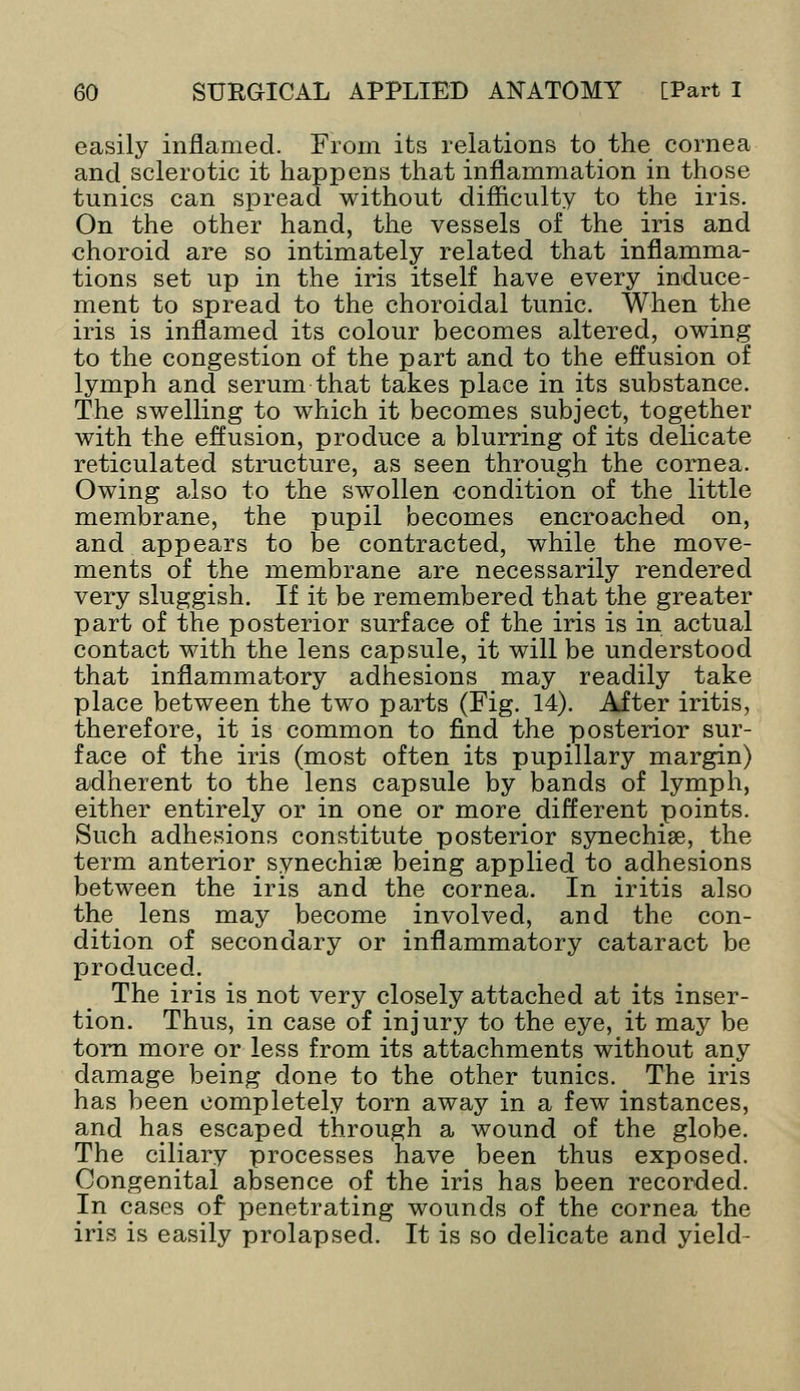 easily inflamed. From its relations to the cornea and sclerotic it happens that inflammation in those tunics can spread without difficulty to the iris. On the other hand, the vessels of the iris and choroid are so intimately related that inflamma- tions set up in the iris itself have every induce- ment to spread to the choroidal tunic. When the iris is inflamed its colour becomes altered, owing to the congestion of the part and to the effusion of lymph and serum that takes place in its substance. The swelling to which it becomes subject, together with the effusion, produce a blurring of its delicate reticulated structure, as seen through the cornea. Owing also to the swollen condition of the little membrane, the pupil becomes encroached on, and appears to be contracted, while the move- ments of the membrane are necessarily rendered very sluggish. If it be remembered that the greater part of the posterior surface of the iris is in actual contact with the lens capsule, it will be understood that inflammatory adhesions may readily take place between the two parts (Fig. 14). After iritis, therefore, it is common to find the posterior sur- face of the iris (most often its pupillary margin) adherent to the lens capsule by bands of lymph, either entirely or in one or more different points. Such adhesions constitute posterior synechise, the term anterior synechise being applied to adhesions between the iris and the cornea. In iritis also the lens may become involved, and the con- dition of secondary or inflammatory cataract be produced. The iris is not very closely attached at its inser- tion. Thus, in case of injury to the eye, it may be torn more or less from its attachments without any damage being done to the other tunics. The iris has been completely torn away in a few instances, and has escaped through a wound of the globe. The ciliary processes have been thus exposed. Congenital absence of the iris has been recorded. In cases of penetrating wounds of the cornea the iris is easily prolapsed. It is so delicate and yield-