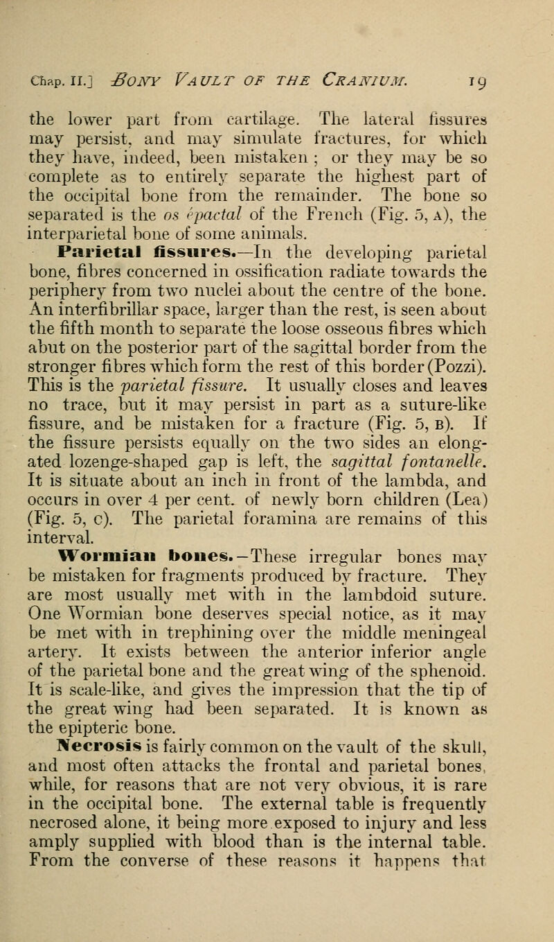 the lower part from cartilage. The lateral fissures may persist, and may simulate fractures, for which they have, indeed, been mistaken ; or they may be so complete as to entirely separate the highest part of the occipital bone from the remainder. The bone so separated is the ns epactal of the French (Fig. 5, a), the interparietal bone of some animals. Parietal fissures.—In the developing parietal bone, fibres concerned in ossification radiate towards the periphery from two nuclei about the centre of the bone. An interfibrillar space, larger than the rest, is seen about the fifth month to separate the loose osseous fibres which abut on the posterior part of the sagittal border from the stronger fibres which form the rest of this border (Pozzi). This is the parietal fissure. It usually closes and leaves no trace, but it may persist in part as a suture-like fissure, and be mistaken for a fracture (Fig. 5, b). If the fissure persists equally on the two sides an elong- ated lozenge-shaped gap is left, the sagittal fontaneUe. It is situate about an inch in front of the lambda, and occurs in over 4 per cent, of newly born children (Lea) (Fig. 5, c). The parietal foramina are remains of this interval. Wormian bones.-These irregular bones may be mistaken for fragments produced by fracture. They are most usually met with in the lambdoid suture. One Wormian bone deserves special notice, as it may be met with in trephining over the middle meningeal artery. It exists between the anterior inferior angle of the parietal bone and the great wing of the sphenoid. It is scale-like, and gives the impression that the tip of the great wing had been separated. It is known as the epipteric bone. Necrosis is fairly common on the vault of the skull, and most often attacks the frontal and parietal bones, while, for reasons that are not very obvious, it is rare in the occipital bone. The external table is frequently necrosed alone, it being more exposed to injury and less amply supplied with blood than is the internal table. From the converse of these reasons it happens that