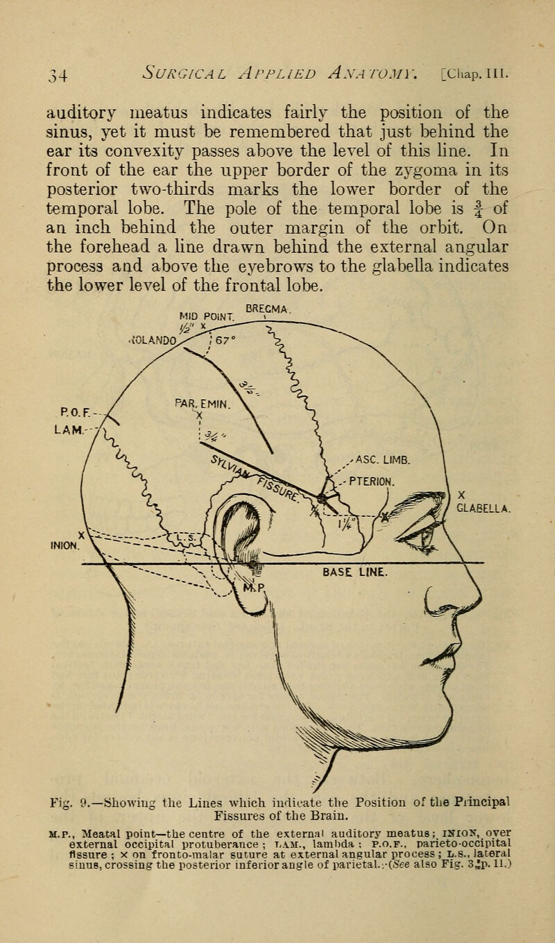 auditory meatus indicates fairly the position of the sinus, yet it must be remembered that just behind the ear its convexity passes above the level of this line. In front of the ear the upper border of the zygoma in its posterior two-thirds marks the lower border of the temporal lobe. The pole of the temporal lobe is f of an inch behind the outer margin of the orbit. On the forehead a line drawn behind the external angular process and above the eyebrows to the glabella indicates the lower level of the frontal lobe. • iOLANDO MID POiN BREGMA. INION Pig. 9.—Showing the Lines which indicate the Position of the Principal Fissures of the Brain. m.p., Meatal point—the centre of the external auditory meatus; iNioy, over external occipital protuberance ; t,\m., lambda : p.o.f., parietooccipital fissure; x on fronto-malar suture at external angular process ; n.s., lateral siuus, crossing the posterior inferior angle of parietal.-.-(See also Fig. 3^P-11.)