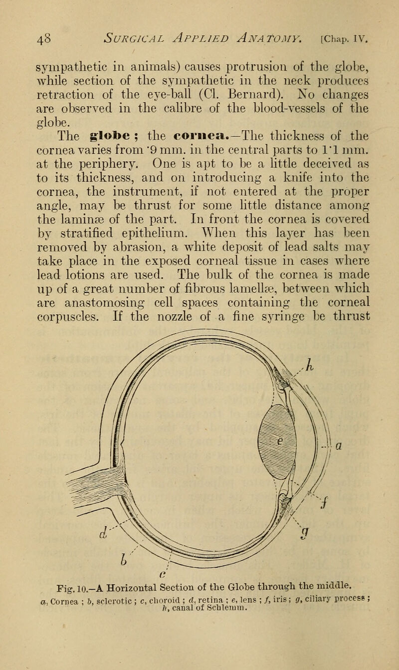 sympathetic in animals) causes protrusion of the globe, while section of the sympathetic in the neck produces retraction of the eye-ball (CI. Bernard). No changes are observed in the calibre of the blood-vessels of the globe. The globe ; the cornea.—The thickness of the cornea varies from '9 mm. in the central parts to l'l mm. at the periphery. One is apt to be a little deceived as to its thickness, and on introducing a knife into the cornea, the instrument, if not entered at the proper angle, may be thrust for some little distance among the laminse of the part. In front the cornea is covered by stratified epithelium. When this layer has been removed by abrasion, a white deposit of lead salts may take place in the exposed corneal tissue in cases where lead lotions are used. The bulk of the cornea is made up of a great number of fibrous lamelhe, between which are anastomosing cell spaces containing the corneal corpuscles. If the nozzle of a fine syringe he thrust Fig. 10.-A Horizontal Section of the Globe through the middle. a- Cornea ; b, sclerotic ; c, choroid ; d. retina ; e, lens ; /, iris; g, ciliary process 7;, canal of Sculemm.