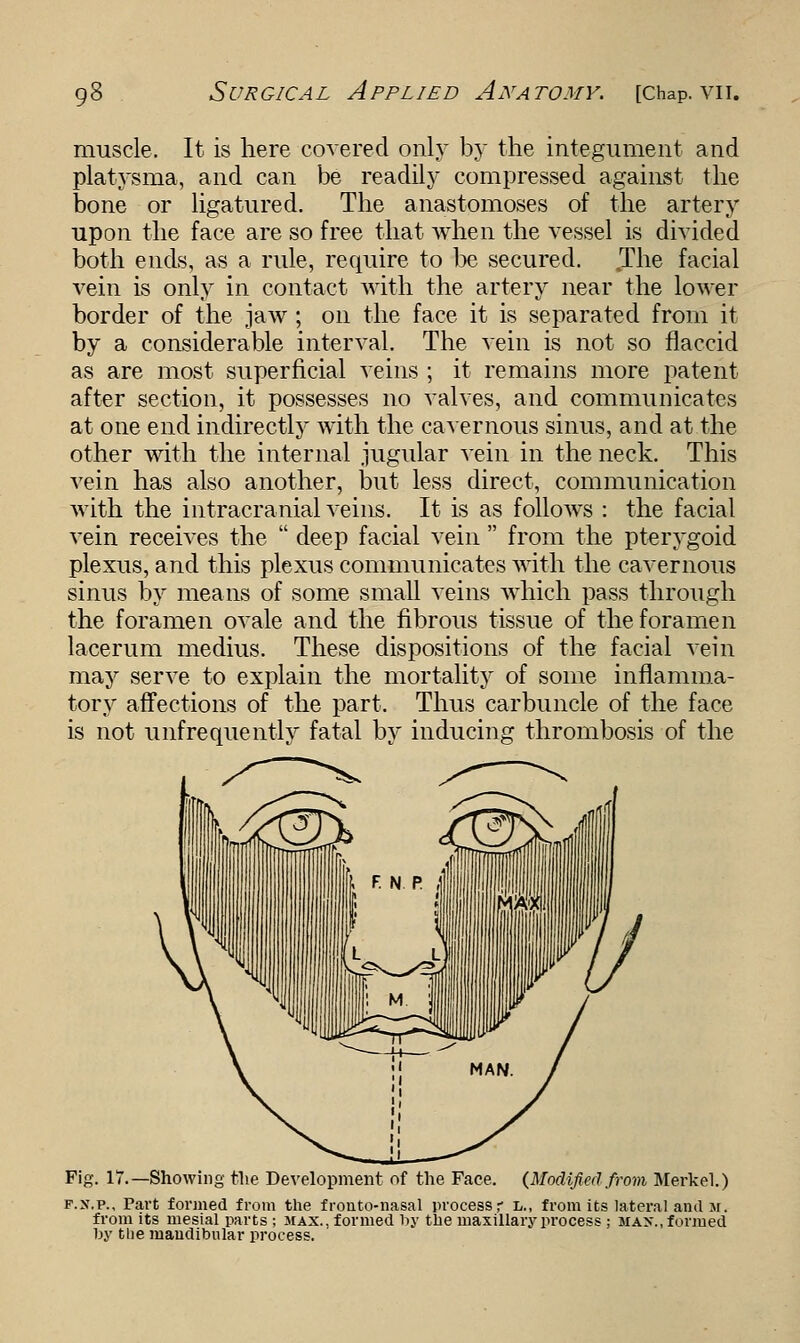 muscle. It is here covered only by the integument and platysma, and can be readily compressed against the bone or ligatured. The anastomoses of the artery upon the face are so free that when the vessel is divided both ends, as a rule, require to be secured. Jhe facial vein is only in contact with the artery near the lower border of the jaw ; on the face it is separated from it by a considerable interval. The vein is not so flaccid as are most superficial veins ; it remains more patent after section, it possesses no valves, and communicates at one end indirectly with the cavernous sinus, and at the other with the internal jugular vein in the neck. This vein has also another, but less direct, communication with the intracranial veins. It is as follows : the facial vein receives the deep facial vein from the pterygoid plexus, and this plexus communicates with the cavernous sinus by means of some small veins which pass through the foramen ovale and the fibrous tissue of the foramen lacerum medius. These dispositions of the facial vein may serve to explain the mortality of some inflamma- tory affections of the part. Thus carbuncle of the face is not unfrequently fatal by inducing thrombosis of the Fig. 17.—Showing the Development of the Face. {Modified from Merkel.) f.s.p.. Part formed from the frontonasal process,' l., from its lateral and m. from its mesial parts ; max., formed by the maxillary process ; max., formed by the mandibular process.