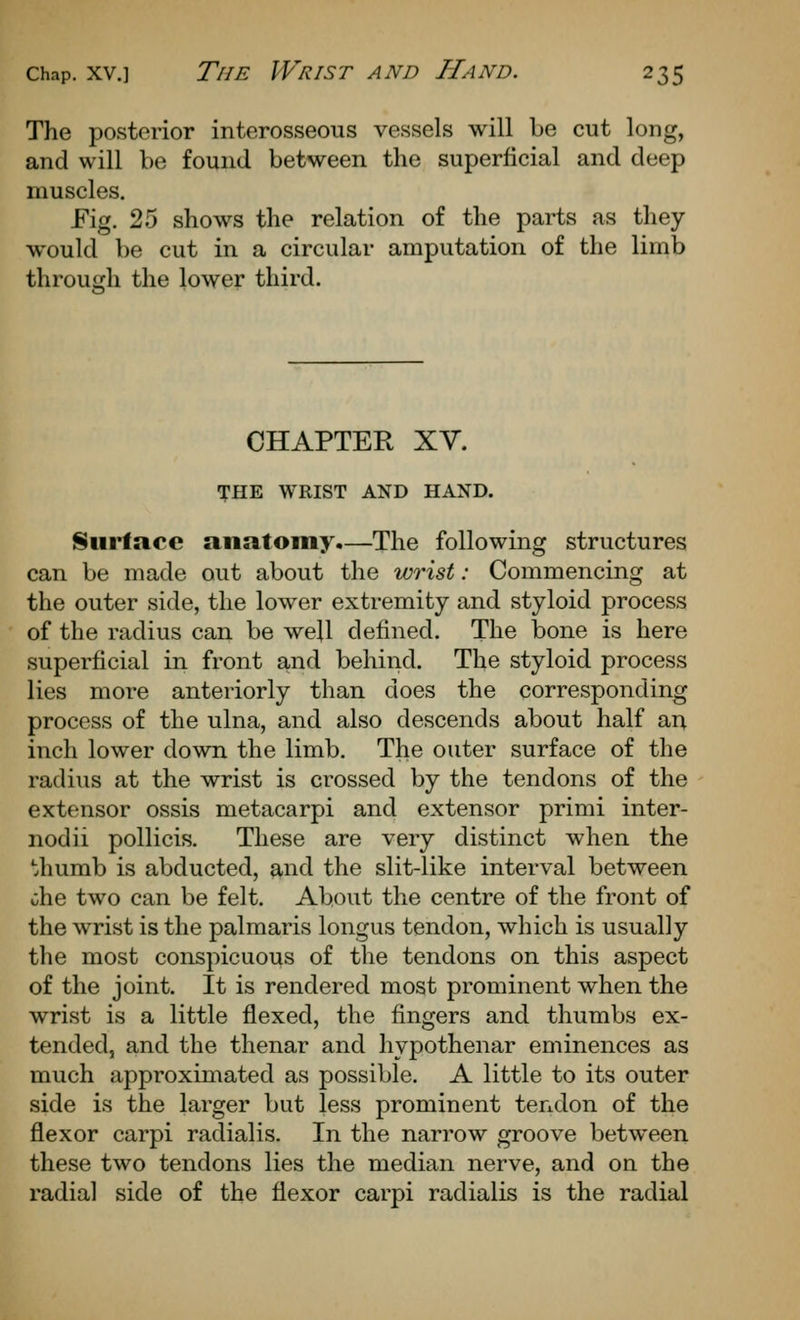 The posterior interosseous vessels will be cut long, and will be found between the superficial and deep muscles. Fig. 25 shows the relation of the parts as they would be cut in a circular amputation of the limb through the lower third. CHAPTER XV. THE WRIST AND HAND. Surface smatomy.—The following structures can be made out about the wrist: Commencing at the outer side, the lower extremity and styloid process of the radius can be well defined. The bone is here superficial in front and behind. The styloid process lies more anteriorly than does the corresponding process of the ulna, and also descends about half an inch lower down the limb. The outer surface of the radius at the wrist is crossed by the tendons of the extensor ossis metacarpi and extensor primi inter- nodii pollicis. These are very distinct when the thumb is abducted, ^nd the slit-like interval between che two can be felt. About the centre of the front of the wrist is the palmaris longus tendon, which is usually the most conspicuous of tlie tendons on this aspect of the joint. It is rendered most prominent when the wrist is a little flexed, the fingers and thumbs ex- tended, and the thenar and hypothenar eminences as much approximated as possible. A little to its outer side is the larger but less prominent tendon of the flexor carpi radialis. In the narrow groove between these two tendons lies the median nerve, and on the radial side of the flexor carpi radialis is the radial