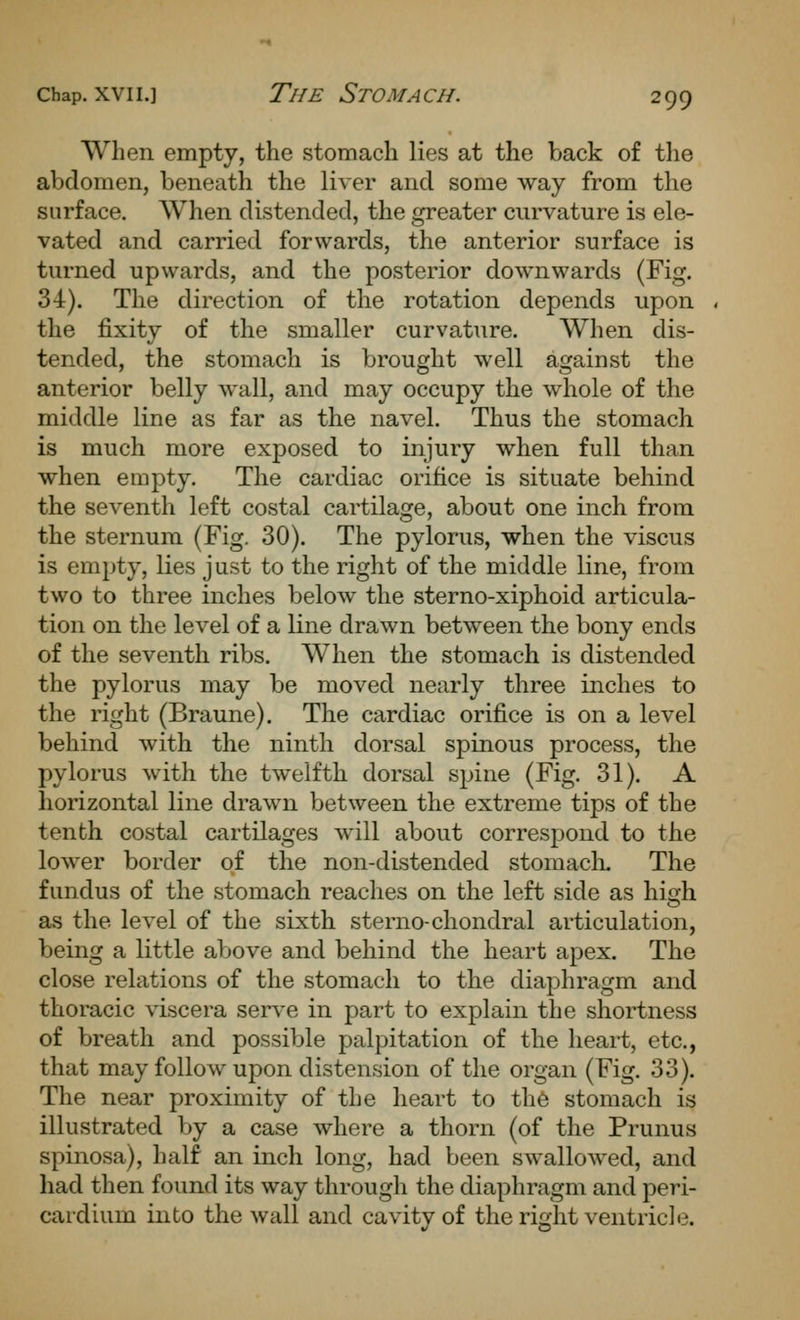 When empty, the stomach lies at the back of the abdomen, beneath the liver and some way from the surface. When distended, the greater curvature is ele- vated and carried forwards, the anterior surface is turned upwards, and the posterior downwards (Fig. 34). The direction of the rotation depends upon the fixity of the smaller curvature. When dis- tended, the stomach is brought well against the anterior belly wall, and may occupy the whole of the middle line as far as the navel. Thus the stomach is much more exposed to injury when full than when empty. The cardiac orifice is situate behind the seventh left costal cartilage, about one inch from the sternum (Fig. 30). The pylorus, when the viscus is empty, lies just to the right of the middle line, from two to three inches below the sterno-xiphoid articula- tion on the level of a line drawn between the bony ends of the seventh ribs. When the stomach is distended the pylorus may be moved nearly three inches to the right (Braune). The cardiac orifice is on a level behind with the ninth dorsal spinous process, the pylorus with the twelfth dorsal spine (Fig. 31). A horizontal line drawn between the extreme tips of the tenth costal cartilages will about correspond to the lower border of the non-distended stomacli. The fundus of the stomach reaches on the left side as high as the level of the sixth sterno-chondral articulation, being a little above and behind the heart apex. The close relations of the stomach to the diaphragm and thoracic viscera serve in part to explain the shortness of breath and possible palpitation of the heart, etc., that may follow upon distension of the organ (Fig. 33). The near proximity of the heart to the stomach is illustrated by a case where a thorn (of the Prunus spinosa), half an inch long, had been swallowed, and had then found its way through the diaphragm and peri- cardium into the wall and cavity of the right ventricle.