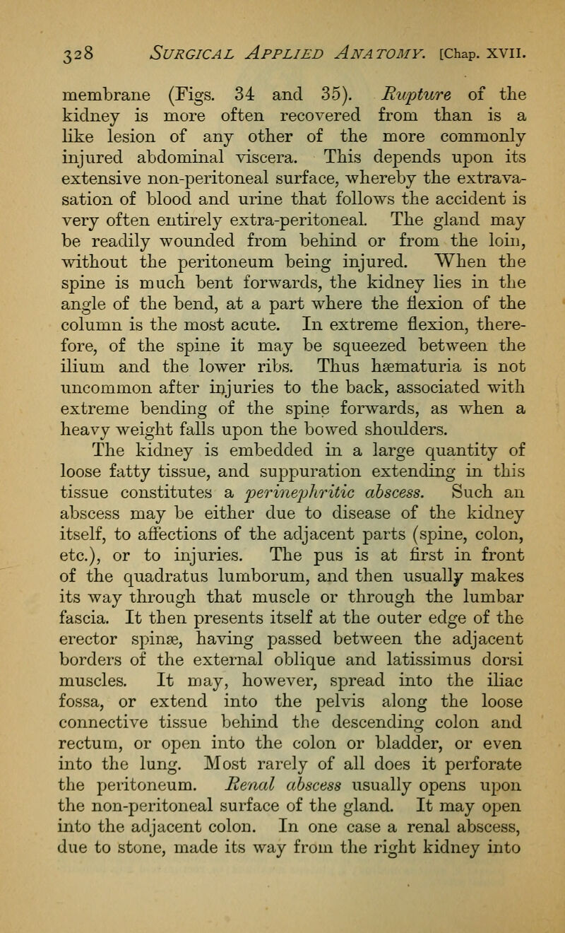 membrane (Figs. 34 and 35). Rwpture of tlie kidney is more often recovered from than is a Kke lesion of any other of the more commonly injured abdominal viscera. This depends upon its extensive non-peritoneal surface, whereby the extrava- sation of blood and urine that follows the accident is very often entirely extra-peritoneal. The gland may be readily wounded from behind or from the loin, without the peritoneum being injured. When the spine is much bent forwards, the kidney lies in the angle of the bend, at a part where the flexion of the column is the most acute. In extreme flexion, there- fore, of the spine it may be squeezed between the ilium and the lower ribs. Thus hsematuria is not uncommon after iiyuries to the back, associated with extreme bending of the spine forwards, as when a heavy weight falls upon the bowed shoulders. The kidney is embedded in a large quantity of loose fatty tissue, and suppuration extending in this tissue constitutes a perinephritic abscess. Such an abscess may be either due to disease of the kidney itself, to affections of the adjacent parts (spine, colon, etc.), or to injuries. The pus is at first in front of the quadratus lumborum, and then usually makes its way through that muscle or through the lumbar fascia. It then presents itself at the outer edge of the erector spinse, having passed between the adjacent borders of the external oblique and latissimus dorsi muscles. It may, however, spread into the iliac fossa, or extend into the pelvis along the loose connective tissue behind the descending colon and rectum, or open into the colon or bladder, or even into the lung. Most rarely of all does it perforate the peritoneum. Renal abscess usually opens upon the non-peritoneal surface of the gland. It may oi)en into the adjacent colon. In one case a renal abscess, due to stone, made its way from the right kidney into