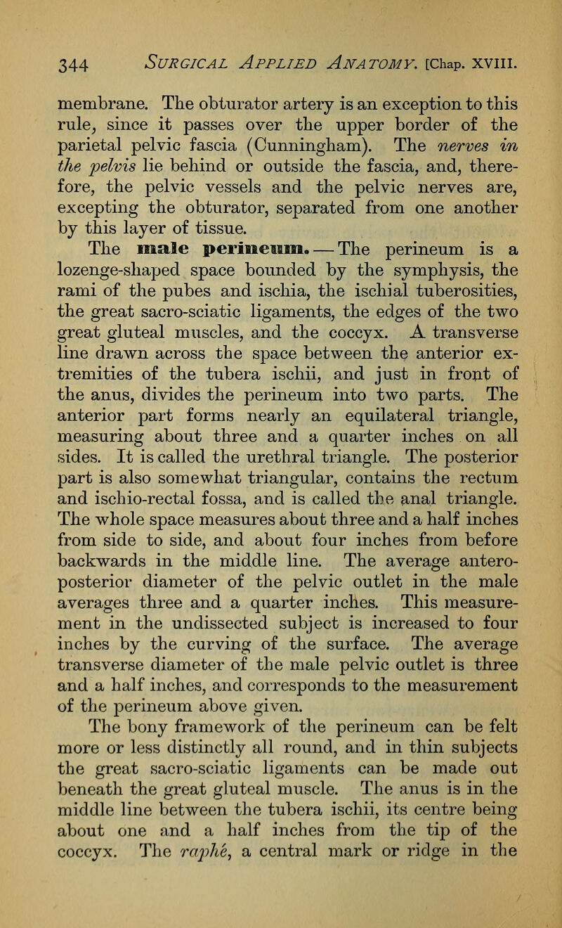 membrane. The obturator artery is an exception to this rule_, since it passes over the upper border of the parietal pelvic fascia (Cunningham). The nerves in the pelvis lie behind or outside the fascia, and, there- fore, the pelvic vessels and the pelvic nerves are, excepting the obturator, separated from one another by this layer of tissue. The male permeum. — The perineum is a lozenge-shaped space bounded by the symphysis, the rami of the pubes and ischia, the ischial tuberosities, the great sacro-sciatic ligaments, the edges of the two great gluteal muscles, and the coccyx. A transverse line drawn across the space between the anterior ex- tremities of the tubera ischii, and just in front of the anus, divides the perineum into two parts. The anterior part forms nearly an equilateral triangle, measuring about three and a quarter inches on all sides. It is called the urethral triangle. The posterior part is also somewhat triangular, contains the rectum and ischio-rectal fossa, and is called the anal triangle. The whole space measures about three and a half inches from side to side, and about four inches from before backwards in the middle line. The average antero- posterior diameter of the pelvic outlet in the male averages three and a quarter inches. This measure- ment in the undissected subject is increased to four inches by the curving of the surface. The average transverse diameter of the male pelvic outlet is three and a half inches, and corresponds to the measurement of the perineum above given. The bony framework of the perineum can be felt more or less distinctly all round, and in thin subjects the great sacro-sciatic ligaments can be made out beneath the great gluteal muscle. The anus is in the middle line between the tubera ischii, its centre being about one and a half inches from the tip of the coccyx. The ra/plie^ a central mark or ridge in the