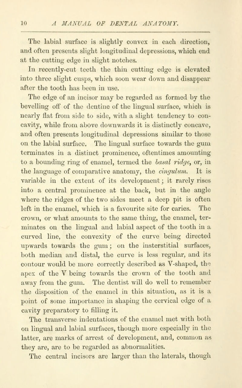 The labial sufface is slightly convex in each direction, and often presents slight longitudinal depressions, which end at the cutting edge in slight notches. In recently-cut teeth the thin cutting edge is elevated into three slight cusps, which soon wear down and disappear after the tooth has been in use. The edge of an incisor may be regarded as formed by the bevelling off of the dentine of the lingual surface, which is nearly flat from side to side, with a slight tendency to con- cavity, while from above downwards it is distinctly concave, and often presents longitudinal depressions similar to those on the labial surface. The lingual surface towards the gum terminates in a distinct prominence, oftentimes amounting to a bounding I'ing of enamel, termed the basal ridge, or, in the language of comparative anatomy, the cingulum. It is variable in the extent of its development; it rarely rises into a central prominence at the back, but in the angle where the ridges of the two sides meet a deep pit is often left in the enamel, Avhich is a favourite site for caries. The crown, or what amounts to the same thing, the enamel, ter- minates on the lingual and labial aspect of the tooth in a curved line, the convexity of the curve being directed upwards towards the ginn; on the insterstitial surfaces, both median and distal, the curve is less regular, and its contour would be more correctly described as V-shaped, the apex of the V being towards the crown of the tooth and away from the gum. The dentist wiU do well to remember the disposition of the enamel in this situation, as it is a point of some importance in shaping the cervical edge of a cavity preparatory to filling it. The transverse indentations of the enamel met with both on lingual and labial surfaces, though more especially in the lattei, are marks of an-est of development, and, common as they are, are to be regarded as abnormalities. The centi-al incisors are larger than the laterals, though