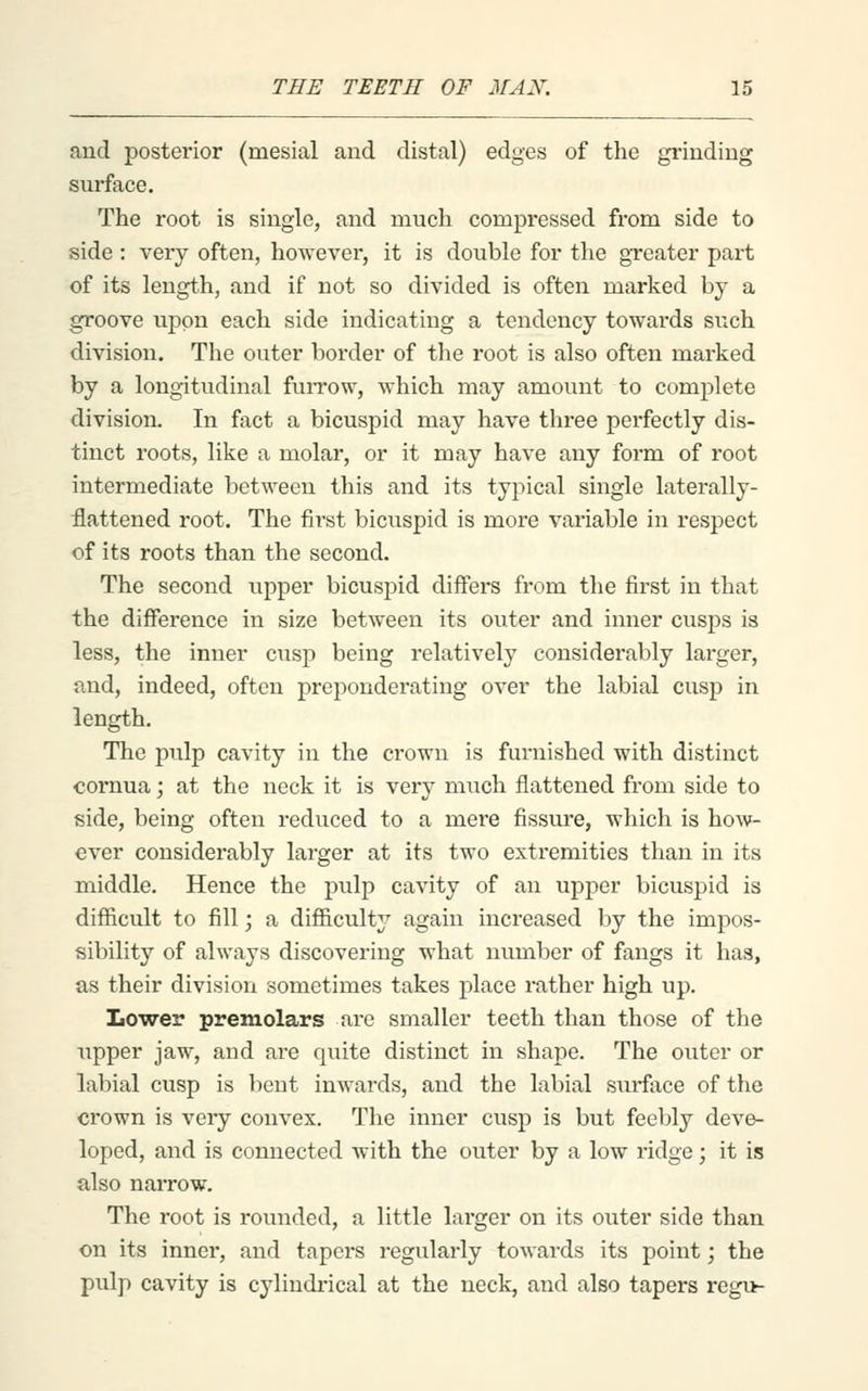 and posterior (mesial aud distal) edges of the grinding siu-face. The root is single, and much compressed from side to side : very often, however, it is double for the greater part of its length, and if not so divided is often marked by a groove upon each side indicating a tendency towards such division. The outer border of the root is also often marked by a longitudinal fuiTow, which may amount to complete division. In fact a bicuspid may have three perfectly dis- tinct roots, like a molar, or it may have any form of root intermediate between this and its typical single laterally- flattened root. The first bicuspid is more variable in respect of its roots than the second. The second upper bicuspid differs from the first in that the diflference in size between its outer and inner cusps is less, the inner cusp being relatively considerably larger, and, indeed, often preponderating over the labial cusp in length. The pulp cavity in the crown is furnished with distinct cornua; at the neck it is very much flattened from side to side, being often reduced to a mere fissure, which is how- ever considerably larger at its two extremities than in its middle. Hence the pulp cavity of an upper bicuspid is difficult to fill; a difl&cult^'^ again increased by the impos- sibility of always discovering what number of fangs it has, as their division sometimes takes place rather high up. lower premolars are smaller teeth than those of the upper jaw, and are quite distinct in shape. The outer or labial cusp is bent inwards, and the labial surface of the crown is very convex. The inner cusp is but feebly deve- loped, and is connected with the outer by a low ridge; it is also narrow. The root is rounded, a little larger on its outer side than on its inner, and tapers regularly towards its point; the pulp cavity is cylindi'ical at the neck, and also tapers regi>-