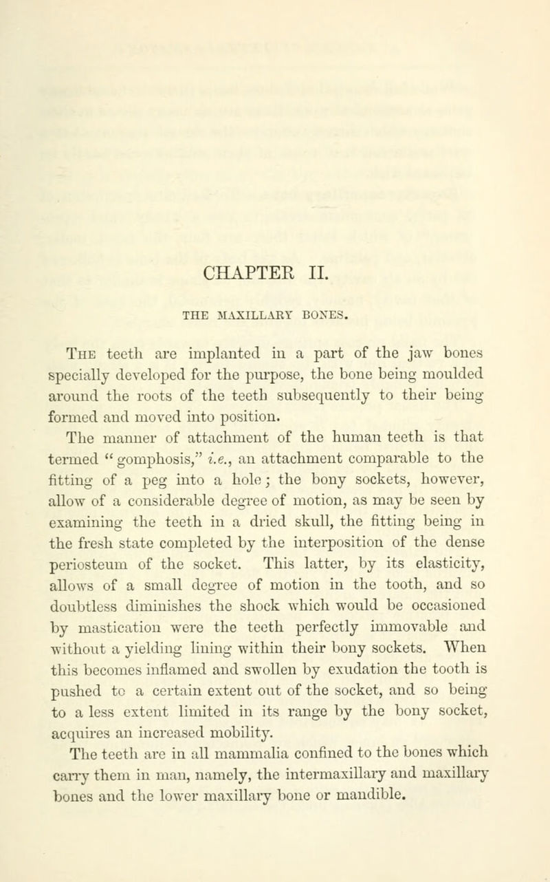 CHAPTER II. THE M.VXILLARY BONES. The teeth are implanted iu a part of the jaw bones specially developed for the piu'pose, the bone being moulded around the roots of the teeth subsequently to their being formed and moved into position. The manner of attachment of the human teeth is that termed gomphosis, i.e., an attachment comparable to the fitting of a peg into a hole; the bony sockets, however, allow of a considerable degree of motion, as may be seen by examining the teeth in a dried skull, the fitting being iu the fresh state completed by the interposition of the dense periosteum of the socket. This latter, by its elasticity, allows of a small degree of motion in the tooth, and so doubtless diminishes the shock which would be occasioned by mastication were the teeth perfectly immovable and without a yielding lining within their bony sockets. When this becomes inflamed and swollen by exudation the tooth is pushed to a certain extent out of the socket, and so being to a less extent limited in its range by the bony socket, acquires an increased mobility. The teeth are in all mammalia confined to the bones which carry them in man, namely, the intermaxillary and maxillary bones and the lower maxillaiy bone or mandible.