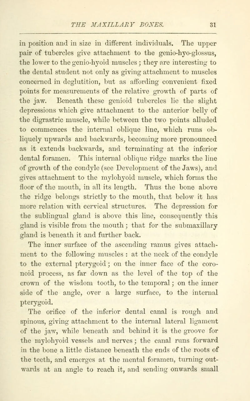 in position and in size in different individuals. The upper pair of tubercles give attachment to the genio-hyo-glossus, the lower to the genio-hyoid muscles ; they are interesting to the dental student not only as giving attachment to muscles conceraed in deglutition, but as affording convenient fixed points for measurements of the relative growth of pai'ts of the jaw. Beneath these genioid tubercles lie the slight depressions which give attachment to the anterior belly of the digrastric muscle, while between the two points alluded to commences the interaal oblique line, which runs ob- liquely upwards and backwards, becoming more pronounced as it extends backwards, and terminating at the inferior dental foramen. This internal oblique ridge marks the line of gi'owth of the condyle (see Development of the Jaws), and gives attachment to the mylohyoid muscle, which forms the floor of the mouth, in all its length. Thus the bone above the ridge belongs strictly to the mouth, that below it has more relation with cervical structures. The depression for the sublingual gland is above this line, consequently this gland is visible from the mouth; that for the submaxillary gland is beneath it and further back. The inner surface of the ascending ramus gives attach- ment to the following muscles : at the neck of the condyle to the external pterygoid; on the inner face of the coro- noid process, as far down as the level of the top of the crown of the wisdom tooth, to the temporal; on the inner side of the angle, over a large surface, to the internal pterygoid. The orifice of the inferior dental canal is rough and spinous, giving attachment to the internal lateral ligament of the jaw, while beneath and behind it is the groove for the mylohyoid vessels and nerves; the canal runs forward in the bone a little distance beneath the ends of the roots of the teeth, and emerges at the mental foramen, turning out- wards at an angle to reach it, and sending onwards small