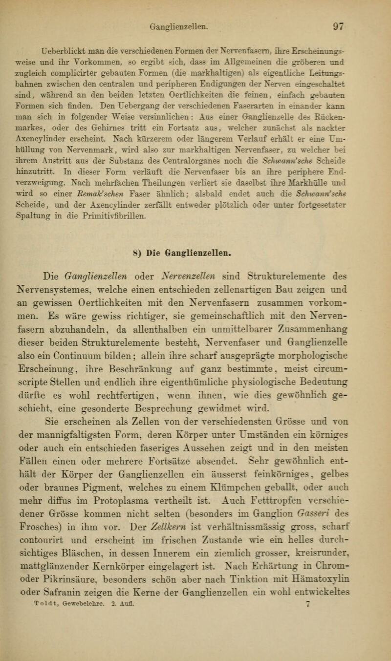 UeberbHckt man die verscliiedenen Formen der Nervenfasern, ihre Erscheinungs- ■weise und ihr Vorkommen, so ergibt sich, dass im Allgemeinen die gröberen mid zugleich complicirter gebauten Formen (die markhaltigen) als eigentliche Leitmigs- bahnen z-wischen den centralen und peripheren Endigungen der Nerven eingeschaltet sind. wähi-end an den beiden letzten 0ertlichkeiten die feinen. einfach gebauten Formen sich finden. Den Uebergang der verschiedenen Faserarten in einander kann man sich in folgender Weise versinnlichen: Aus einer Ganglienzelle des Rücken- markes, oder des Gehirnes tritt ein Fortsatz aus, welcher zunächst ab nackter Axencylinder erscheint. Nach kürzerem oder längerem Verlauf erhält er eine Um- hüllung von Nervenmark, wird also zur markhaltigen Nervenfaser, zu welcher bei ihrem Austritt aus der Substanz des Centralorganes noch die Schicann'sche Scheide hinzutritt. In dieser Form verläuft die Nervenfaser bis an ihre periphere End- verzweigung. Nach mehrfachen Theüungen verliert sie daselbst ihre Markhülle und wird so einer RemaVsehen Faser ähnlich; alsbald endet auch die Schicann'sehe Scheide, imd der Axencylinder zerfällt entweder plötzlich oder unter fortgesetzter Spaltung in die Primitivfibrillen. S) Die Gangrlienzellen. Die Ganglienzellen oder Xervenzellen sind Strukturelemente des Kervensystemes. welche einen entschieden zellenartigen Bau zeigen und au gewissen 0 ertlichkeiten mit den XerTenfasern zusammen vorkom- men. Es wäre gewiss richtiger, sie gemeinschaftlich mit den Xerven- fasern abzuhandeln, da allenthalben ein unmittelbarer Zusammenhang dieser beiden Strukturelemente besteht, Xervenfaser und Ganglienzelle also ein Continuum bilden; allein ihre scharf ausgeprägte morphologische Erscheinung. ihre Beschränkung auf ganz bestimmte. meist circum- scripte Stellen und endKch ihre eigenthümliche physiologische Bedeutung dürfte es wohl rechtfertigen, wenn ihnen, wie dies gewöhnlich ge- schieht, eine gesonderte Besprechung gewidmet wird. Sie erscheinen als Zellen von der verschiedensten Grösse und von der mannigfaltigsten Form, deren Körper unter Umständen ein kömiges oder auch ein entschieden faseriges Aussehen zeigt und in den meisten Fällen einen oder mehrere Fortsätze absendet. Sehr gewöhnlich ent- hält der Körper der Ganglienzellen ein äusserst feinkörniges. gelbes oder braunes Pigment, welches zu einem Klümpchen geballt, oder auch mehr diffus im Protoplasma vertheilt ist. Auch Fetttropfen verschie- dener Grösse kommen nicht selten (Ijesonders im Ganglion Gassen' des Frosches) in ihm vor. Der Zellkern ist verhältnissmässig gross, scharf contourirt und erscheint im frischen Zustande wie ein helles durch- sichtiges Bläschen, in dessen Innerem ein ziemlich grosser, kreisrunder, mattglänzender Kernkörper eingelagert ist. Xach Erhärtung in Chrom- oder Pikrinsäure, besonders schön aber nach Tinktion mit Hämatoxylin oder Safranin zeigen die Kerne der Ganglienzellen ein wohl entwickeltes Toldt, Gewebelehre. 2. Aufl. 7