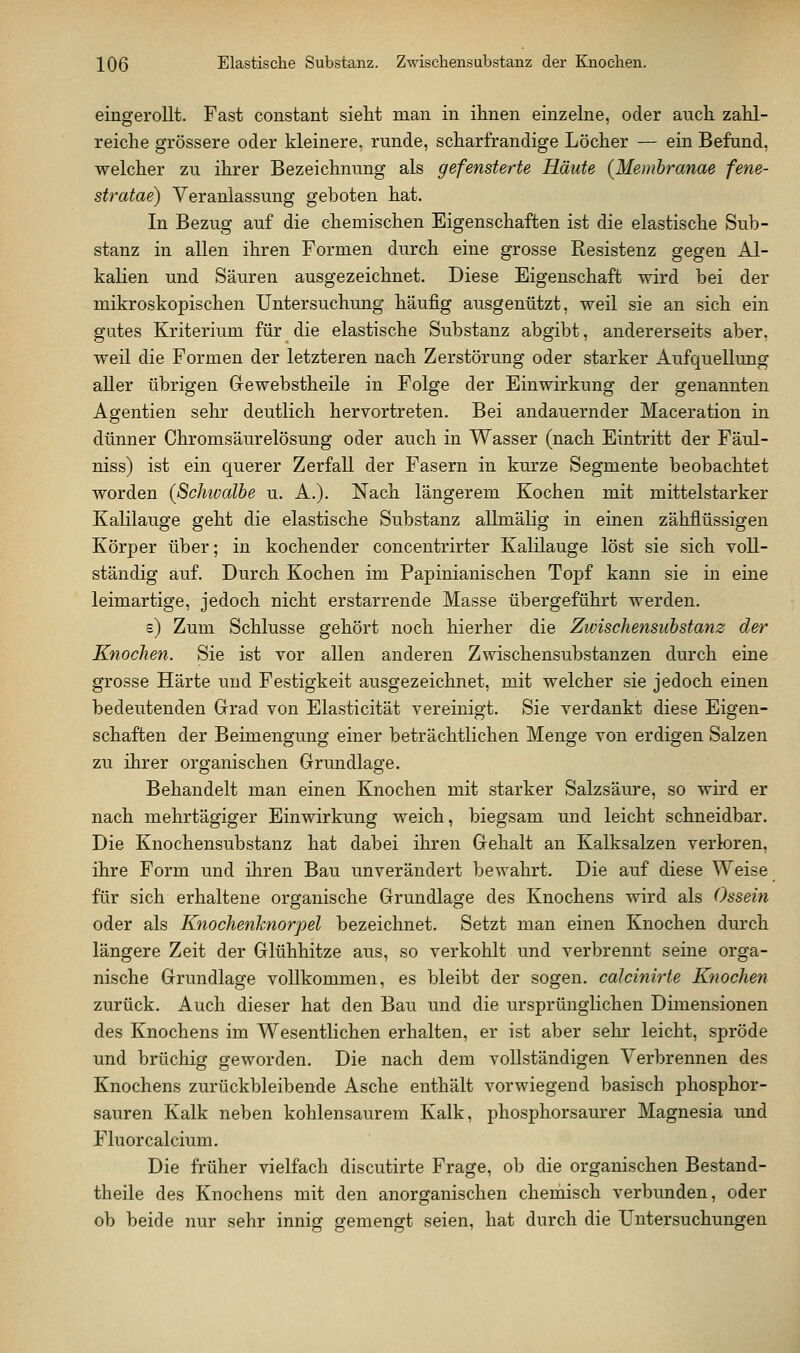 eingerollt. Fast constant sieht man in ihnen einzelne, oder auch zahl- reiche grössere oder kleinere, runde, scharfrandige Löcher — ein Befund, welcher zu ihrer Bezeichnung als gefensterte Häute (Membranae fene- stratae) Veranlassung geboten hat. In Bezug auf die chemischen Eigenschaften ist die elastische Sub- stanz in allen ihren Formen durch eine grosse Resistenz gegen Al- kalien und Säuren ausgezeichnet. Diese Eigenschaft wird bei der mikroskopischen Untersuchung häufig ausgenützt, weil sie an sich ein gutes Kriterium für die elastische Substanz abgibt, andererseits aber, weil die Formen der letzteren nach Zerstörung oder starker Aufquellung aller übrigen Grewebstheile in Folge der Einwirkung der genannten Agentien sehr deutlich hervortreten. Bei andauernder Maceration in dünner Chromsäurelösung oder auch in Wasser (nach Eintritt der Fäul- niss) ist ein querer Zerfall der Fasern in kurze Segmente beobachtet worden {Schwalbe u. A.). Nach längerem Kochen mit mittelstarker KaKlauge geht die elastische Substanz allmälig in einen zähflüssigen Körper über; in kochender concentrirter Kalilauge löst sie sich voll- ständig auf. Durch Kochen im Papinianischen Topf kann sie in eine leimartige, jedoch nicht erstarrende Masse übergeführt werden. s) Zum Schlüsse gehört noch hierher die Zivischensubstanz der Knochen. Sie ist vor allen anderen Zwischensubstanzen durch eine grosse Härte und Festigkeit ausgezeichnet, mit welcher sie jedoch einen bedeutenden Grrad von Elasticität vereinigt. Sie verdankt diese Eigen- schaften der Beimengung einer beträchtlichen Menge von erdigen Salzen zu ihrer organischen Grundlage. Behandelt man einen Knochen mit starker Salzsäure, so wird er nach mehrtägiger Einwirkung weich, biegsam und leicht schneidbar. Die Knochensubstanz hat dabei ihren Gehalt an Kalksalzen verloren, ihre Form und ihren Bau unverändert bewahrt. Die auf diese Weise für sich erhaltene organische Grundlage des Knochens wird als Ossein oder als Knochenknorpel bezeichnet. Setzt man einen Knochen dm'ch längere Zeit der Glühhitze aus, so verkohlt und verbrennt seine orga- nische Grundlage vollkommen, es bleibt der sogen, caicinirte Knochen zurück. Auch dieser hat den Bau und die ursprünglichen Dimensionen des Knochens im Wesentlichen erhalten, er ist aber sehr leicht, spröde und brüchig geworden. Die nach dem vollständigen Verbrennen des Knochens zurückbleibende Asche enthält vorwiegend basisch phosphor- sauren Kalk neben kohlensaurem Kalk, phosphorsaurer Magnesia und Fluor calcium. Die früher vielfach discutirte Frage, ob die organischen Bestand- theile des Knochens mit den anorganischen cherhisch verbunden, oder ob beide nur sehr innig gemengt seien, hat durch die Untersuchungen