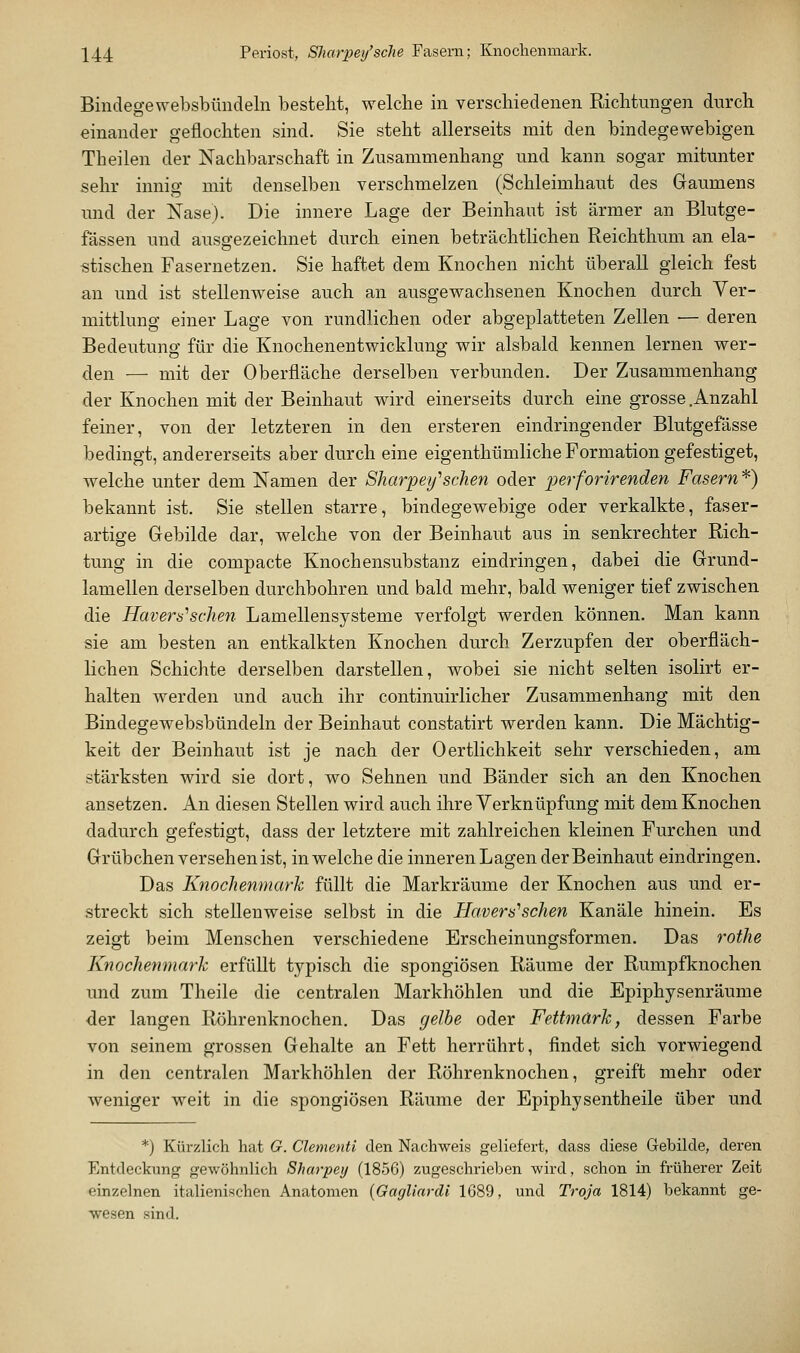 244 Periost, Sharpey'sche Fasern; Knochenmark. Bindegewebsbündeln besteht, welche in verschiedenen Richtungen durch einander geflochten sind. Sie steht allerseits mit den bindegewebigen Theilen der Nachbarschaft in Zusammenhang und kann sogar mitunter sehr innig mit denselben verschmelzen (Schleimhaut des Gaumens und der Nase). Die innere Lage der Beinhaut ist ärmer an Blutge- fässen und ausgezeichnet durch einen beträchtlichen Reichthum an ela- «tischen Fasernetzen. Sie haftet dem Knochen nicht überall gleich fest an und ist stellenweise auch an ausgewachsenen Knochen durch Ver- mittlung einer Lage von rundlichen oder abgeplatteten Zellen — deren Bedeutuno- für die Knochenentwicklung wir alsbald kennen lernen wer- den — mit der Oberfläche derselben verbunden. Der Zusammenhang der Knochen mit der Beinhaut wird einerseits durch eine grosse .Anzahl feiner, von der letzteren in den ersteren eindringender Blutgefässe bedingt, andererseits aber durch eine eigenthümliche Formation gefestiget, welche unter dem Namen der Sharpeif sehen oder perforirenden Fasern^) bekannt ist. Sie stellen starre, bindegewebige oder verkalkte, faser- artige Gebilde dar, welche von der Beinhaut aus in senkrechter Rich- tung in die compacte Knochensubstanz eindringen, dabei die Grund- lamellen derselben durchbohren und bald mehr, bald weniger tief zwischen die Havera''sehen Lamellensysteme verfolgt werden können. Man kann sie am besten an entkalkten Knochen durch Zerzupfen der oberfläch- lichen Schichte derselben darstellen, wobei sie nicht selten isolirt er- halten werden und auch ihr continuirlicher Zusammenhang mit den Bindegewebsbündeln der Beinhaut constatirt werden kann. Die Mächtig- keit der Beinhaut ist je nach der Oertlichkeit sehr verschieden, am stärksten wird sie dort, wo Sehnen und Bänder sich an den Knochen ansetzen. An diesen Stellen wird auch ihre Verknüpfung mit dem Knochen dadurch gefestigt, dass der letztere mit zahlreichen kleinen Furchen und Grübchen versehen ist, in welche die inneren Lagen der Beinhaut eindringen. Das Knochenmark füllt die Markräume der Knochen aus und er- streckt sich stellenweise selbst in die Havers''schen Kanäle hinein. Es zeigt beim Menschen verschiedene Erscheinungsformen. Das rothe Knochenmark erfüUt typisch die spongiösen Räume der Rumpfknochen und zum Theile die centralen Markhöhlen und die Epiphysenräume der langen Röhrenknochen. Das gelbe oder Fettmark, dessen Farbe von seinem grossen Gehalte an Fett herrührt, findet sich vorwiegend in den centralen Markhöhlen der Röhrenknochen, greift mehr oder weniger weit in die spongiösen Räume der Epiphysentheile über und *) Kürzlich hat G. Clementi den Nachweis geliefert, dass diese G-ebilde, deren Entdeckung gewöhnlich Sharpey (1856) zugeschrieben wird, schon in früherer Zeit einzelnen italienischen Anatomen {Gagliardi 1689, und Troja 1814) bekannt ge- wesen sind.