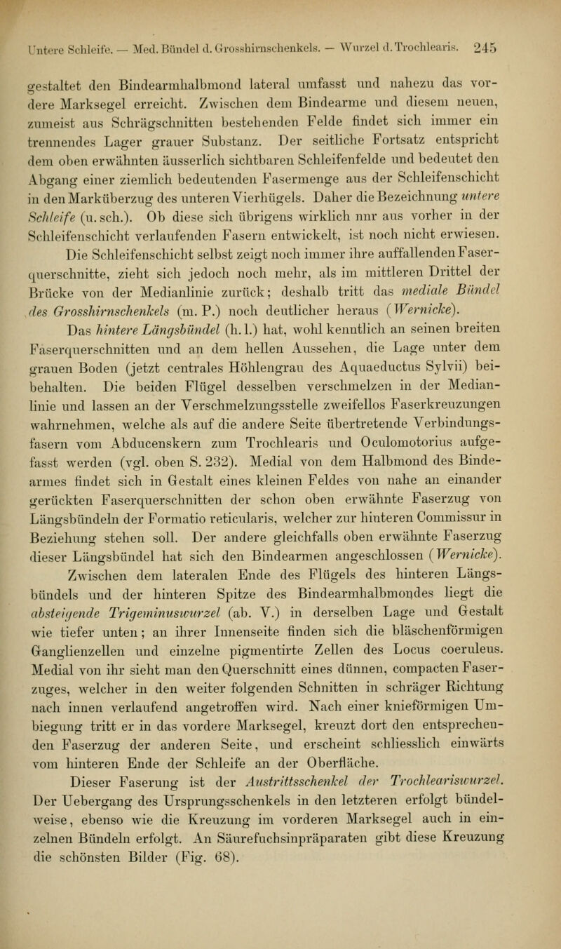 gestaltet den Bindearmlialbmond lateral umfasst und nahezu das vor- dere Marksegel erreicht. Zwischen dem Bindearme vmd diesem neuen, zumeist aus Schrägschnitten bestehenden Felde findet sich immer ein trennendes Lager grauer Substanz. Der seitHche Fortsatz entspricht dem oben erwähnten äusserlich sichtbaren Schleifenfelde und bedeutet den Abgang einer ziemlich bedeutenden Fasermenge aus der Schleifenschicht in den Marküberzug des unteren Vierhügels. Daher die Bezeichnung untere Schfeife (u. seh.). Ob diese sich übrigens wirklich nnr aus vorher in der Sclileifenschicht verlaufenden Fasern entwickelt, ist noch nicht erwiesen. Die Schleifenschicht selbst zeigt noch immer ihre auffallenden Faser- querschnitte, zieht sich jedoch noch mehr, als im mittleren Drittel der Brücke von der Medianlinie zurück; deshalb tritt das mediale Bändel des Grosshirnschenkeh (m. P.) noch deutlicher heraus (Wernicke). Das hintere Längsbündel (h. 1.) hat, wohl kenntlich an seinen breiten Faserquerschnitten und an dem hellen Aussehen, die Lage unter dem grauen Boden (jetzt centrales Höhlengrau des Aquaeductus Sylvii) bei- behalten. Die beiden Flügel desselben verschmelzen in der Median- linie und lassen an der Verschmelzungsstelle zweifellos Faserkreuzungen wahrnehmen, welche als auf die andere Seite übertretende Verbindungs- fasern vom Abducenskern zum Trochlearis und Oculomotorius aufge- fasst werden (vgl. oben S. 232). Medial von dem Halbmond des Binde- armes findet sich in Gestalt eines kleinen Feldes von nahe an einander gerückten Faserquerschnitten der schon oben erwähnte Faserzug von Länffsbündeln der Formatio reticularis, welcher zur hinteren Commissur in Beziehung stehen soll. Der andere gleichfalls oben erwähnte Faserzug dieser Längsbündel hat sich den Bindearmen angeschlossen (Wernicke). Zwischen dem lateralen Ende des Flügels des hinteren Längs- bündels und der hinteren Spitze des Bindearmhalbmondes liegt die ahstei(jende Tricjeminuswurzel (ab. V.) in derselben Lage und Gestalt wie tiefer unten; an ihrer Lmenseite finden sich die bläschenförmigen Ganglienzellen und einzelne pigmentirte Zellen des Locus coeruleus. Medial von ihr sieht man den Querschnitt eines dünnen, compacten Faser- zuges, welcher in den weiter folgenden Schnitten in schräger Richtung nach innen verlaufend angetroffen wird. Nach einer knieförmigen Um- biegung tritt er in das vordere Marksegel, kreuzt dort den entsprechen- den Faserzug der anderen Seite, und erscheint schliesslich einwärts vom hinteren Ende der Schleife an der Oberfläche. Dieser Faserung ist der Austrittsschenkel der Trochleariswurzel. Der Uebergang des Ursprungsschenkels in den letzteren erfolgt bündel- weise, ebenso wie die Kreuzung im vorderen Marksegel auch in ein- zelnen Bündeln erfolgt. An Säurefuchsinpräparaten gibt diese Kreuzung die schönsten Bilder (Fig. 68).