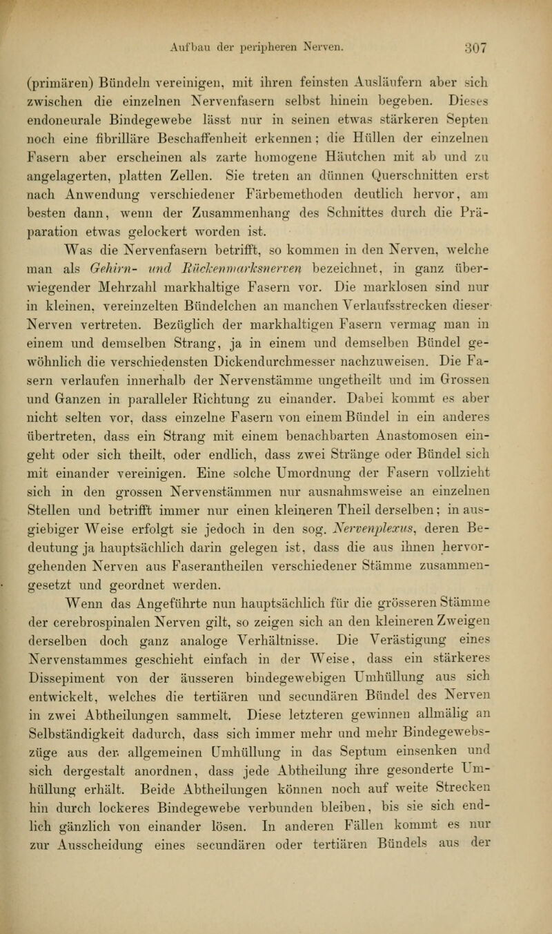 (primären) Bündeln vereinigen, mit ihren feinsten Ausliinfern aber sich zwischen die einzelnen Nervenfasern selbst hinein begeben. Die.ses endonenrale Bindegewebe lässt nur in seinen et^vas stärkeren Septen noch eine fibrilläre Beschaffenheit erkennen; die Hüllen der einzelnen Fasern aber erscheinen als zarte homogene Häutchen mit ab und zu angelagerten, platten Zellen. Sie treten an dünnen Querschnitten erst nach Anwendung verschiedener Färbeniethoden deutlich hervor, am besten dann, wenn der Zusammenhang des Schnittes durch die Prä- paration etwas gelockert worden ist. Was die Nervenfasern betrifft, so kommen in den Nerven, Avelche man als Gehirn- und Riicl-enniarksnerven bezeichnet, in ganz über- wiegender Mehrzahl markhaltige Fasern vor. Die marklosen sind nur in kleinen, vereinzelten Bündelchen an manchen Verlaufsstrecken dieser- Nerven vertreten. Bezüglich der markhaltigen Fasern vermag man in einem und demselben Strang, ja in einem und demselben Bündel ge- wöhnlich die verschiedensten Dickendurchmesser nachzuweisen. Die Fa- sern verlaufen innerhalb der Nervenstämme ungetheilt und im Grossen und Ganzen in paralleler Richtung zu einander. Dabei kommt es aber nicht selten vor, dass einzelne Fasern von einem Bündel in ein anderes tibertreten, dass ein Strang mit einem benachbarten Anastomosen ein- geht oder sich theilt, oder endlich, dass zwei Stränge oder Bündel sich mit einander vereinigen. Eine solche Umordnung der Fasern vollzieht sich in den grossen Nervenstämmen nur ausnahmsweise an einzelnen Stellen und betrifft immer nur einen kleineren Theil derselben; in aus- giebiger Weise erfolgt sie jedoch in den sog. Nervenplexus^ deren Be- deutung ja hauptsäclilich darin gelegen ist, dass die aus ihnen hervor- gehenden Nerven aus Faserantheilen verschiedener Stämme zusammen- gesetzt und geordnet werden. Wenn das Angeführte nun hauptsächlich für die grösseren Stämme der cerebrospinalen Nerven gilt, so zeigen sich an den kleineren Zweigen derselben doch ganz analoge Verhältnisse. Die Verästigung eines Nervenstammes geschieht einfach in der Weise, dass ein stärkeres Dissepiment von der äusseren bindegewebigen Umhüllung aus .sich entwickelt, Avelches die tertiären und secundären Bündel des Nerven in zwei Abtheilungen sammelt. Diese letzteren gewinnen allmälig an Selbständigkeit dadurch, dass sich immer mehr und mehr Bindegewebs- züge aus der. allgemeinen Umhüllung in das Septum einsenken und sich dergestalt anordnen, dass jede Abtheilung ihre gesonderte Im- hüllung erhält. Beide Abtheilungen können noch auf weite Strecken hin durch lockeres Bindegewebe verbunden bleiben, bis sie sich end- lich gänzlich von einander lösen. In anderen Fällen kommt es nur zur Ausscheidung eines secundären oder tertiären Bündels aus der