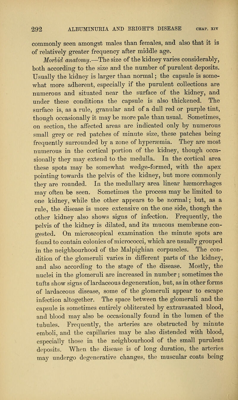 commonly seen amongst males tlian females, and also that it is of relatively greater frequency after middle age. Morbid anatomy.—The size of the kidney varies considerably, both according to the size and the number of purulent deposits. Usually the kidney is larger than normal; the capsule is some- what more adherent, especially if the purulent collections are numerous and situated near the surface of the kidney, and under these conditions the capsule is also thickened. The surface is, as a rule, granular and of a dull red or purple tint, though occasionally it may be more pale than usual. Sometimes, on section, the affected areas are indicated only by numerous small grey or red patches of minute size, these patches being frequently surrounded by a zone of hypersemia. They are most numerous in the cortical portion of the kidney, though occa- sionally they may extend to the medulla. In the cortical area these spots may be somewhat wedge-formed, with the apex pointing towards the pelvis of the kidney, but more commonly they are rounded. In the medullary area linear haemorrhages may often be seen. Sometimes the process may be limited to one kidney, while the other appears to be normal; but, as a rule, the disease is more extensive on the one side, though the other kidney also shows signs of infection. Frequently, the pelvis of the kidney is dilated, and its mucous membrane con- gested. On microscopical examination the minute spots are found to contain colonies of micrococci, which are usually grouped in the neighbourhood of the Malpighian corpuscles. The con- dition of the glomeruli varies in different parts of the kidney, and also according to the stage of the disease. Mostly, the nuclei in the glomeruli are increased in number; sometimes the tufts show signs of lardaceous degeneration, but, as in other forms of lardaceous disease, some of the glomeruli appear to escape infection altogether. The space between the glomeruli and the capsule is sometimes entirely obliterated by extravasated blood, and blood may also be occasionally found in the lumen of the tubules. Frequently, the arteries are obstructed by ruinute emboli, and the capillaries may be also distended with blood, especially those in the neighbourhood of the small purulent deposits. When the disease is of long duration, the arteries may undergo degenerative changes, the muscular coats being
