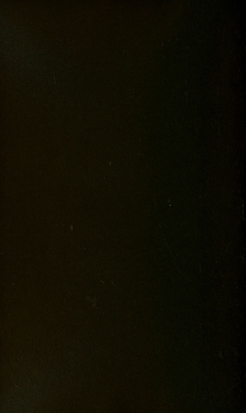 f1S;|^^f?H '■/■-'>^a ..'.if *S'''''iv' .'•''' J., '*'. '■SM n i ■„,,fyx ■'■■■!>!'.•■,*'■ ■ .■' m ' ■ '^s'